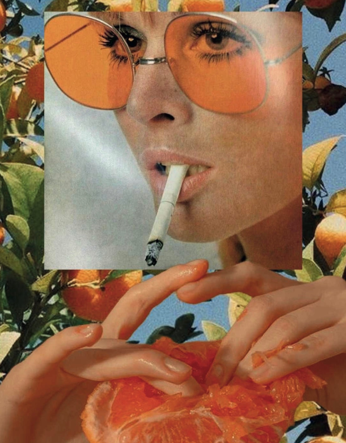 Oranges by Miranda Van Young
