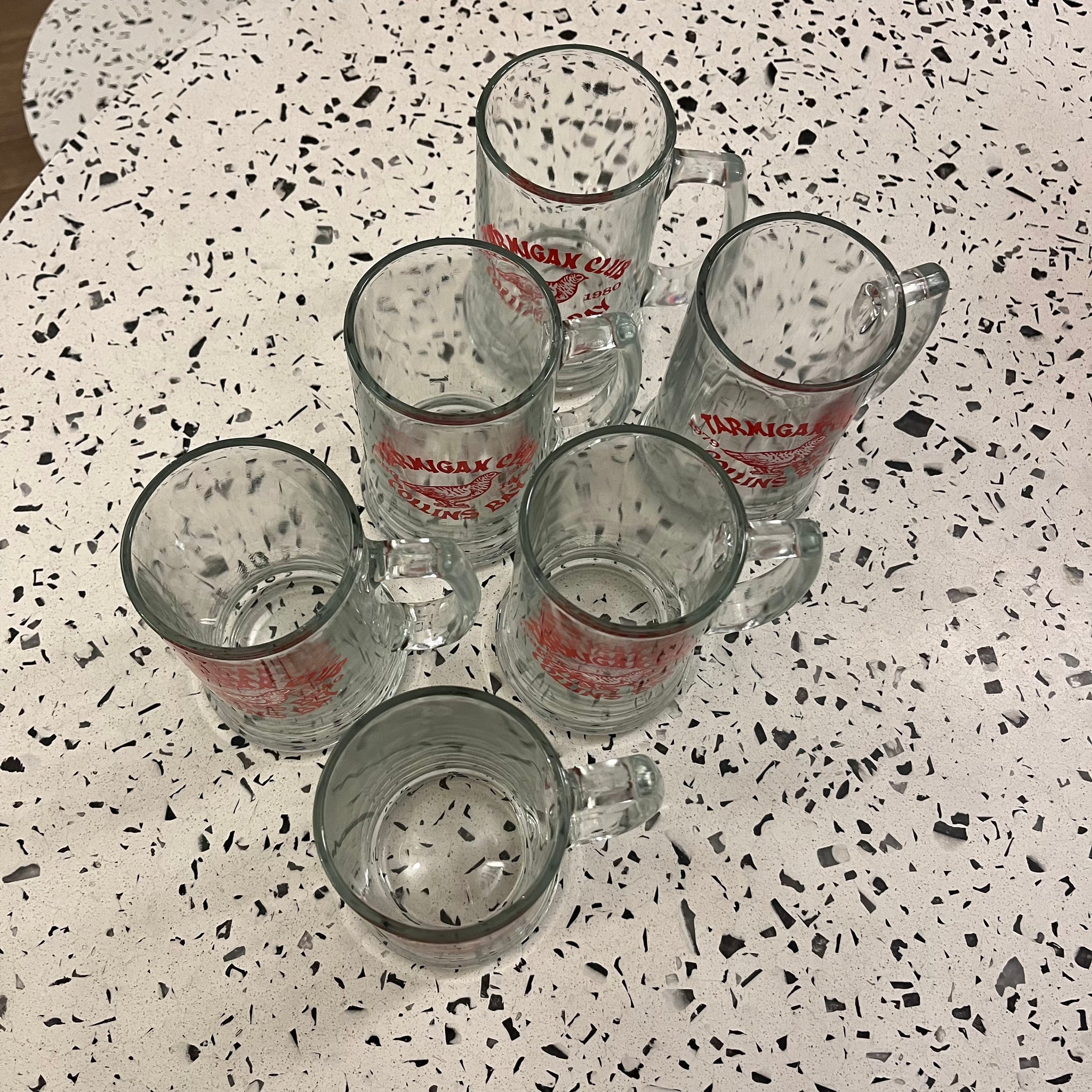 Tarmigan Club Glass Beer Mugs - Set of 6