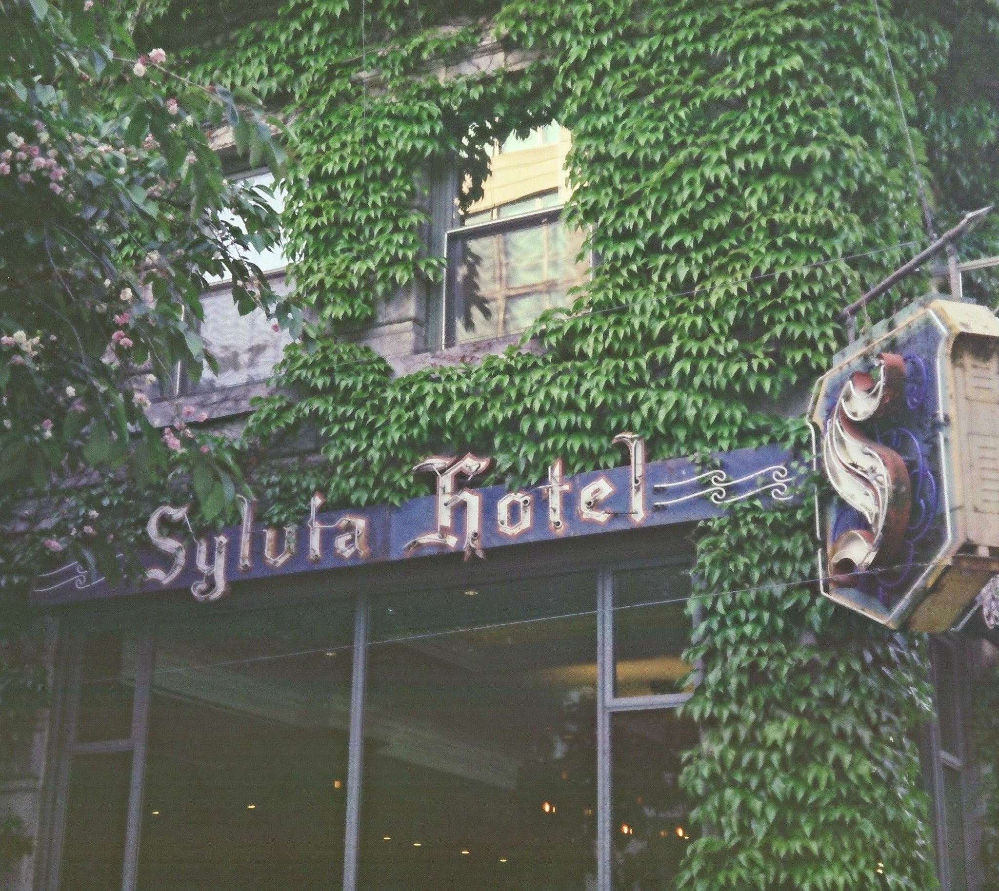 "Sylvia Hotel" Film Print