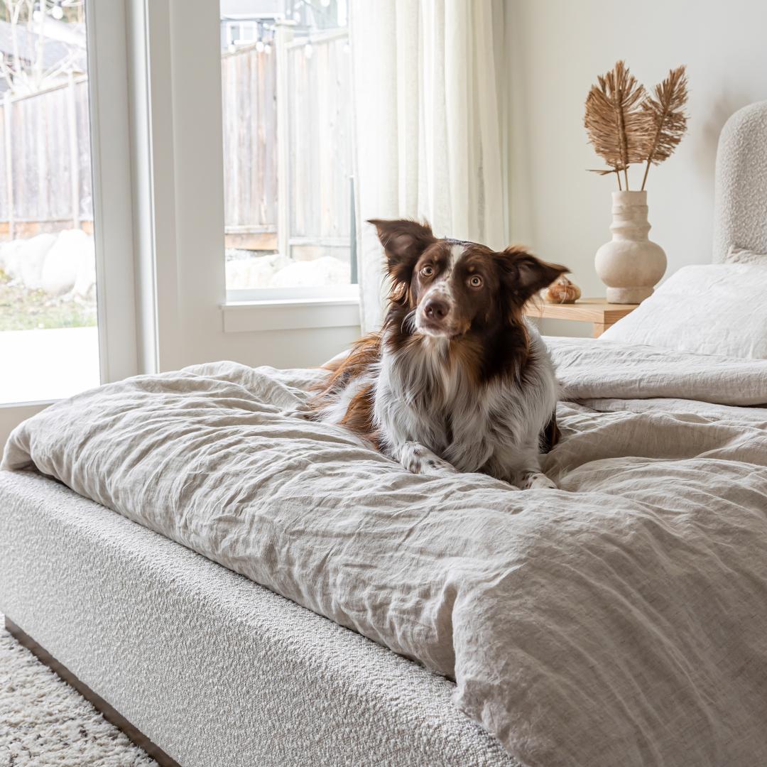 Faye Queen Bed - Off White