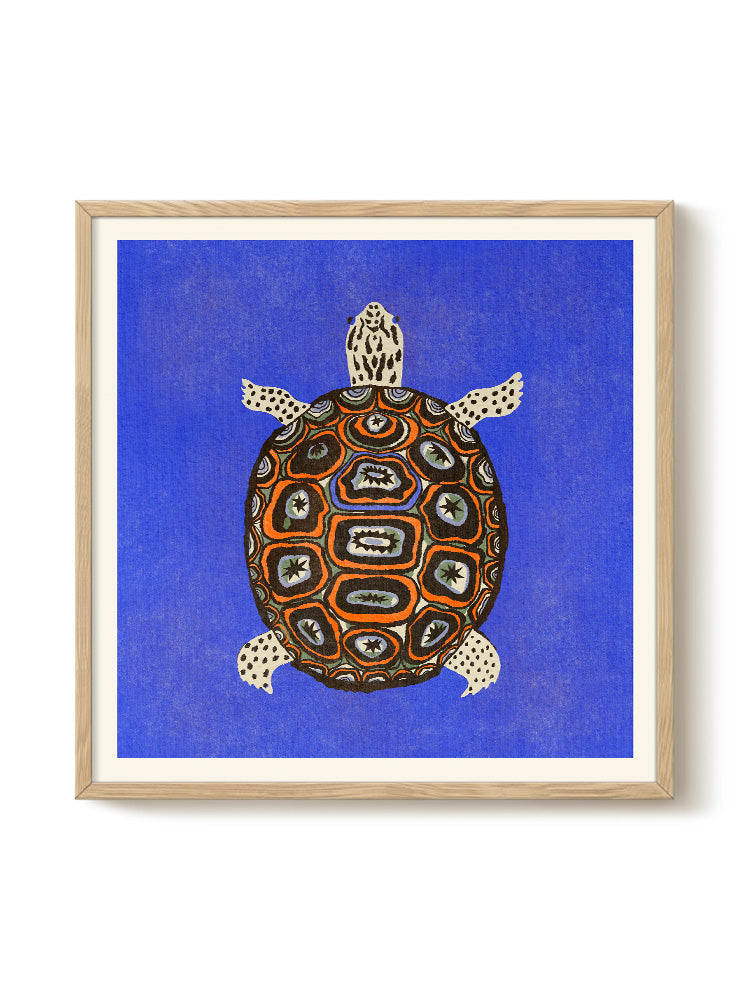 Turtle Blue | Enikő Eged