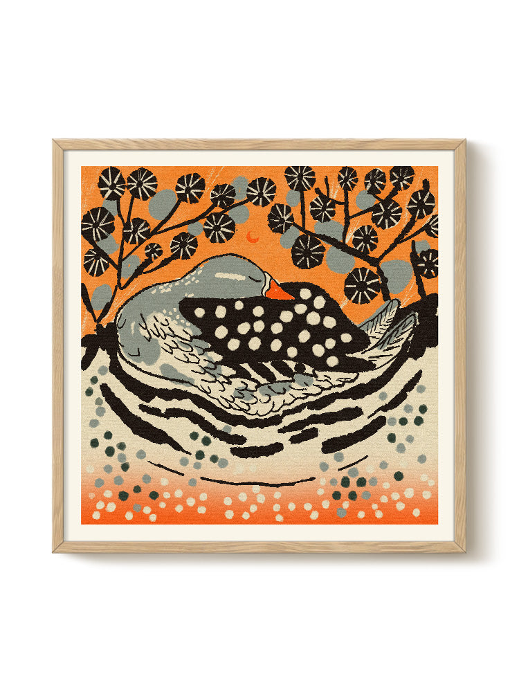 Sleeping Duck | Enikő Eged