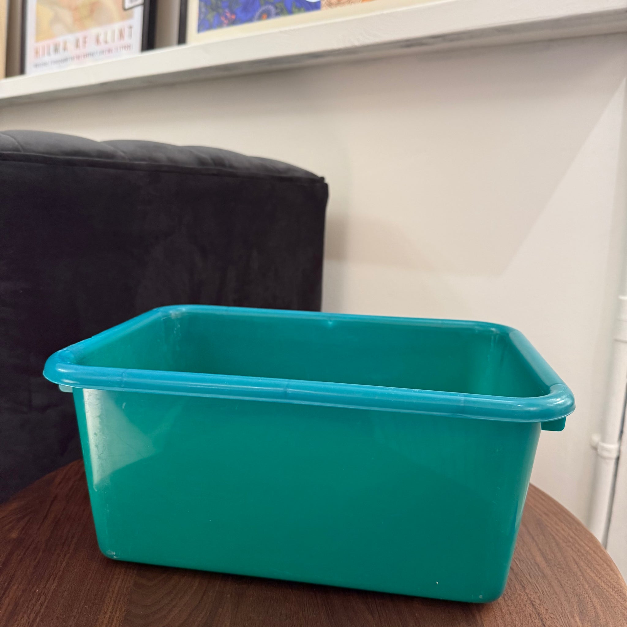 Green Plastic Storage Container