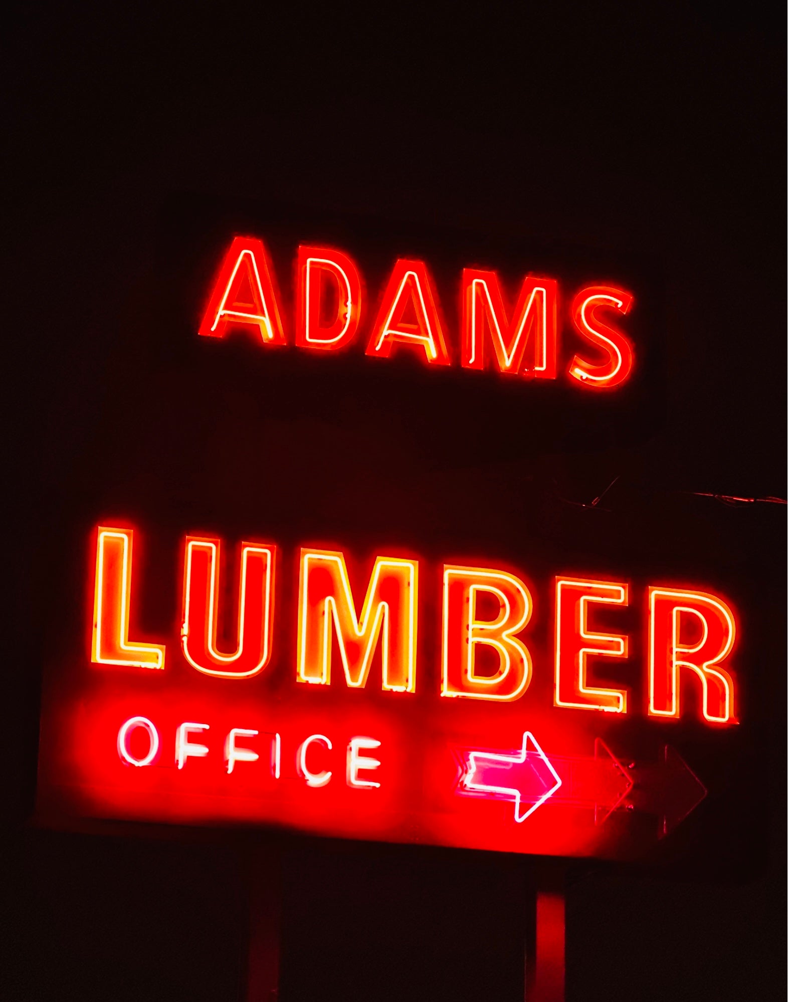 Adams Neon by Miranda Van Young