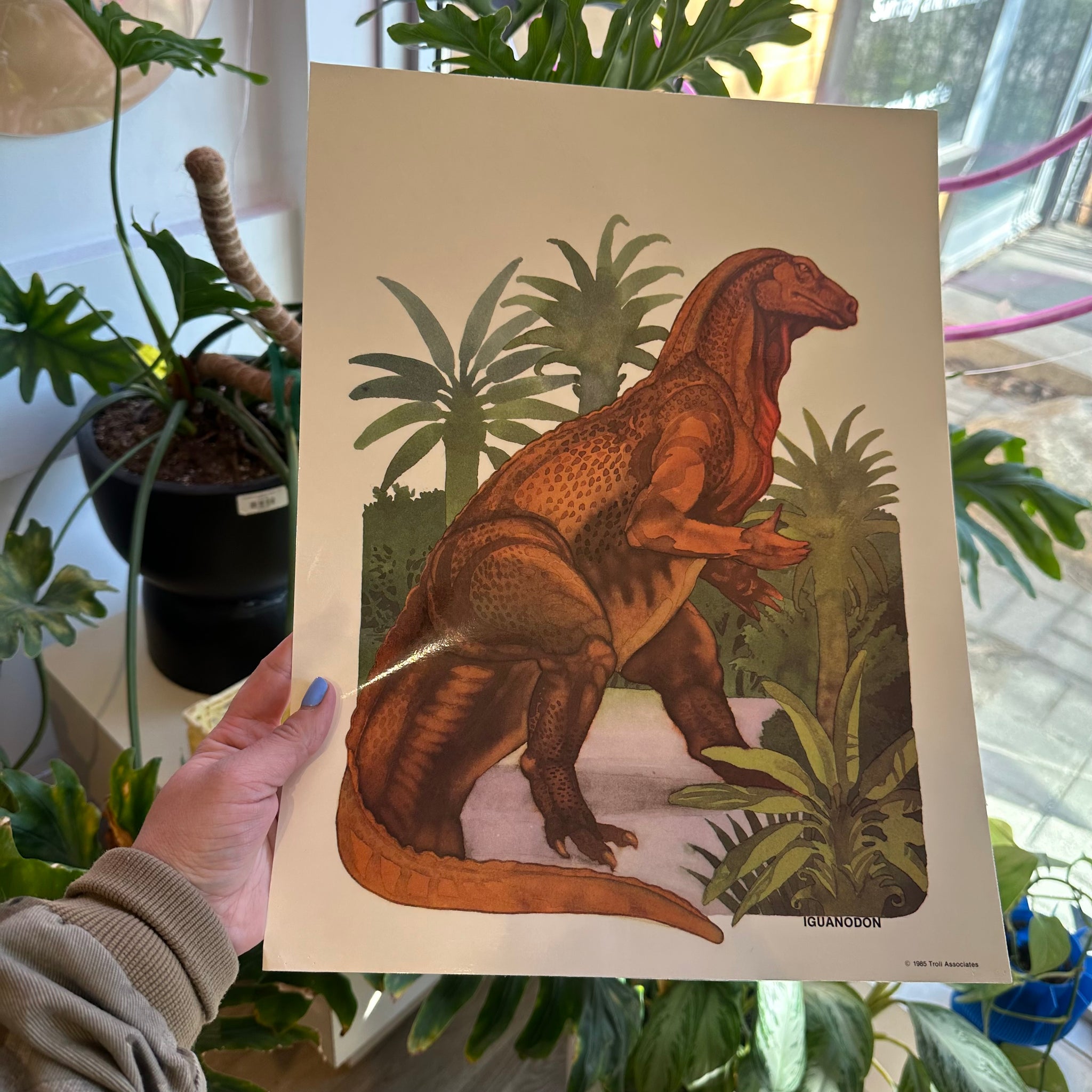 Iguanodon Print