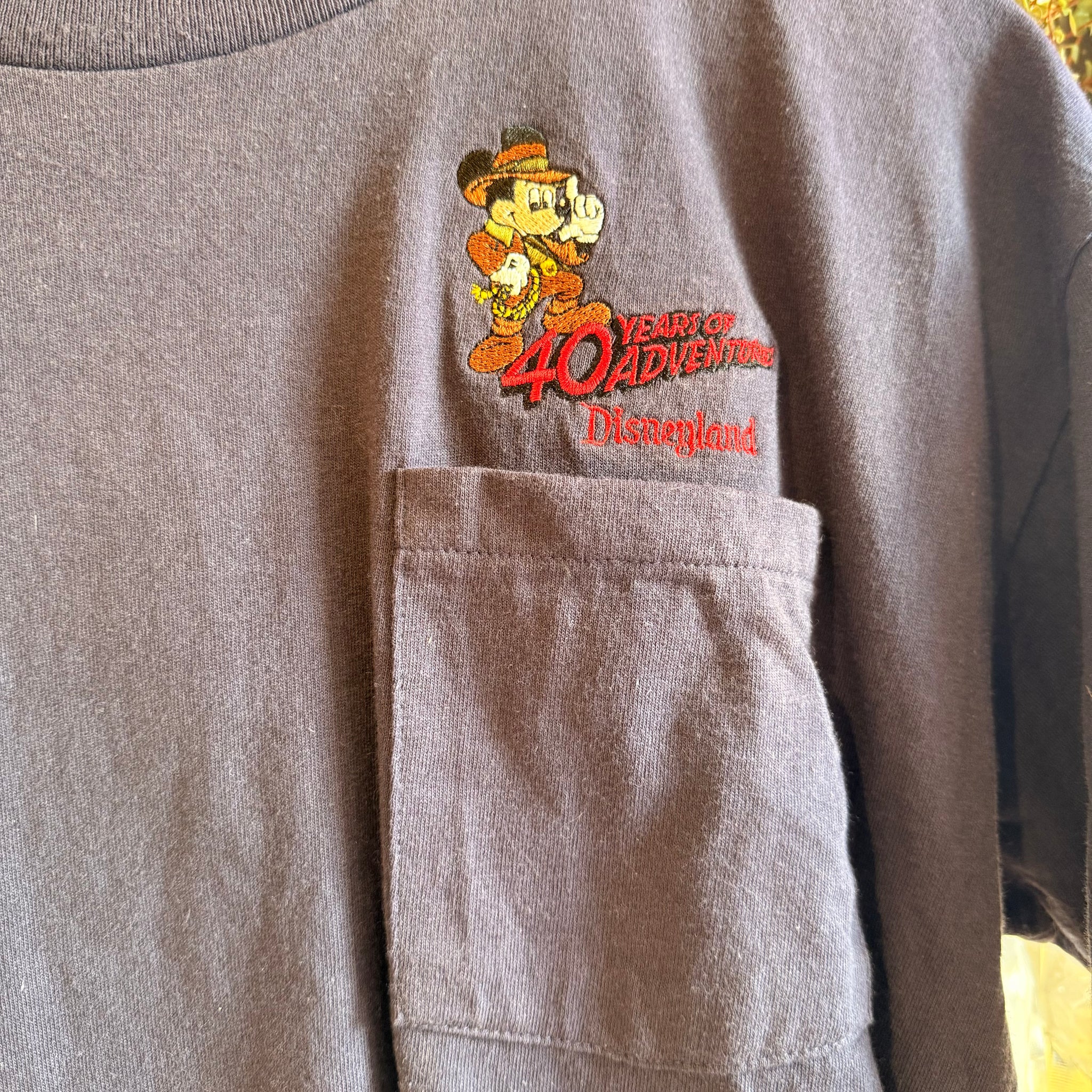 Disneyland Pocket Tee | L
