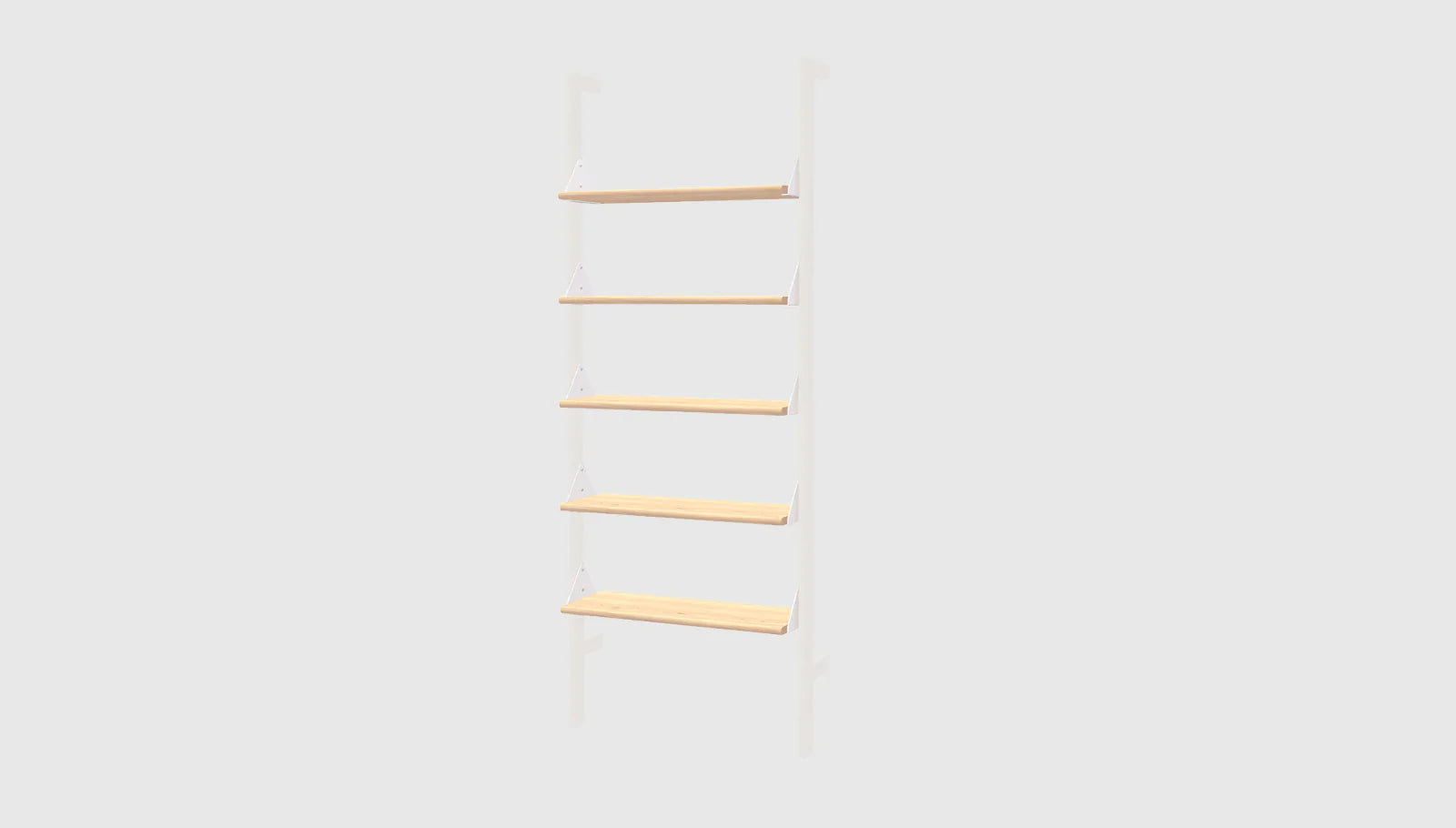 Branch Shelves with Brackets 5-Pack