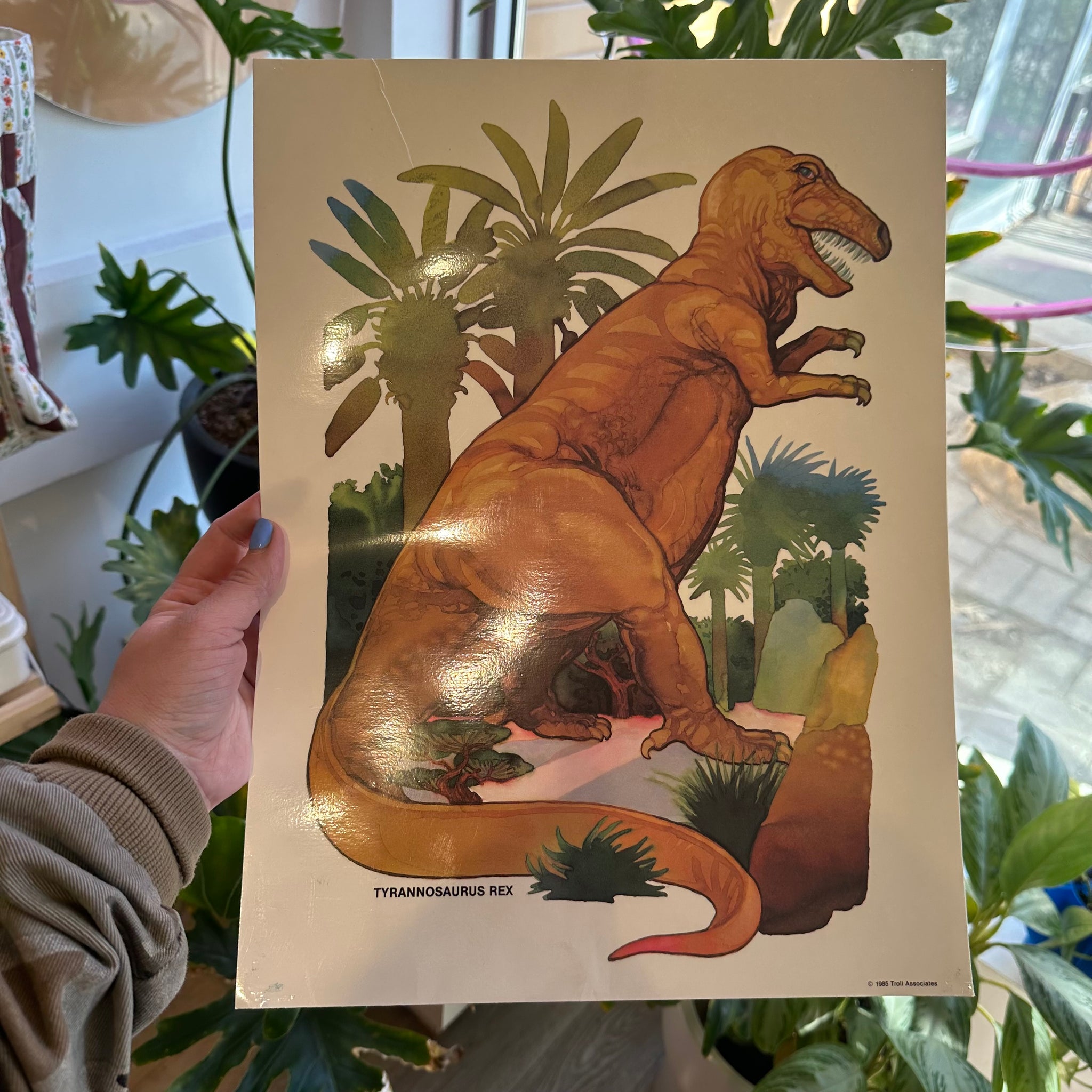 Tyrannosaurus Rex Print