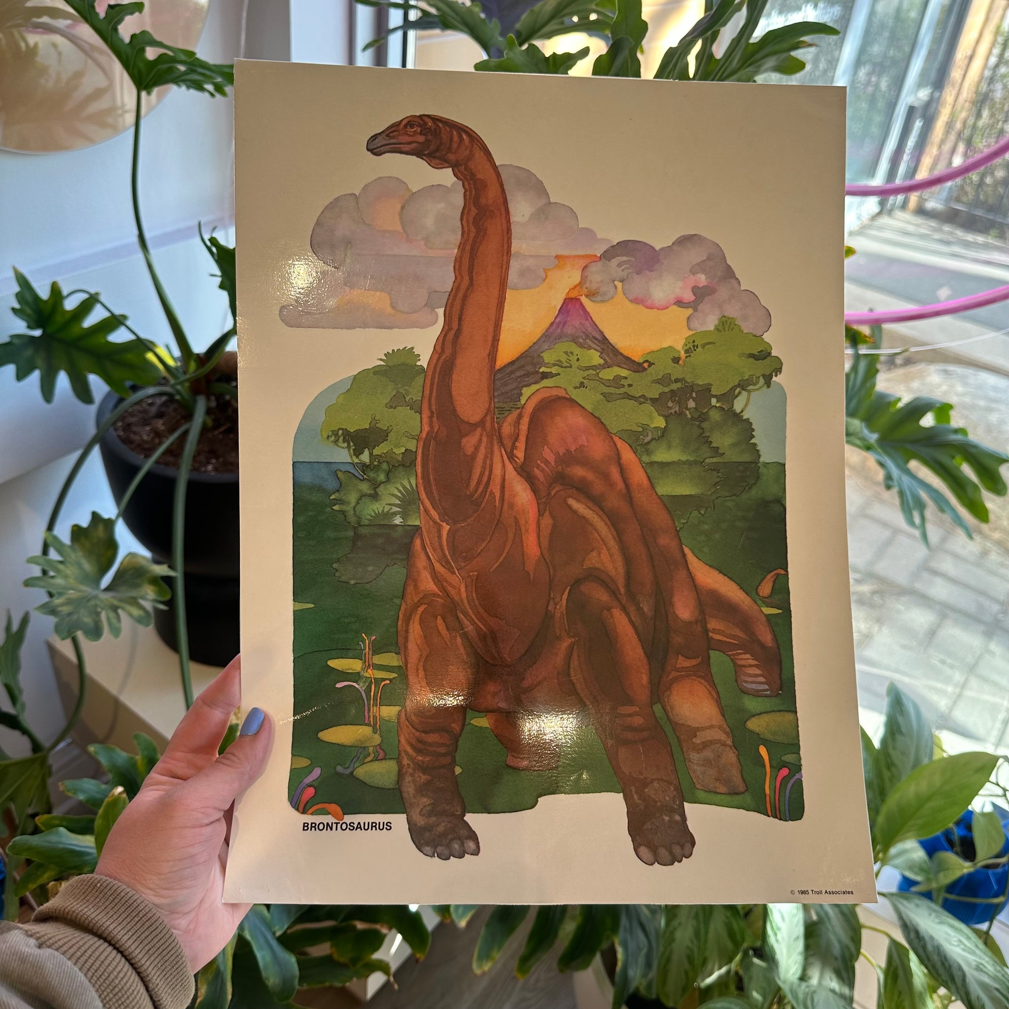 Brontosaurus Print