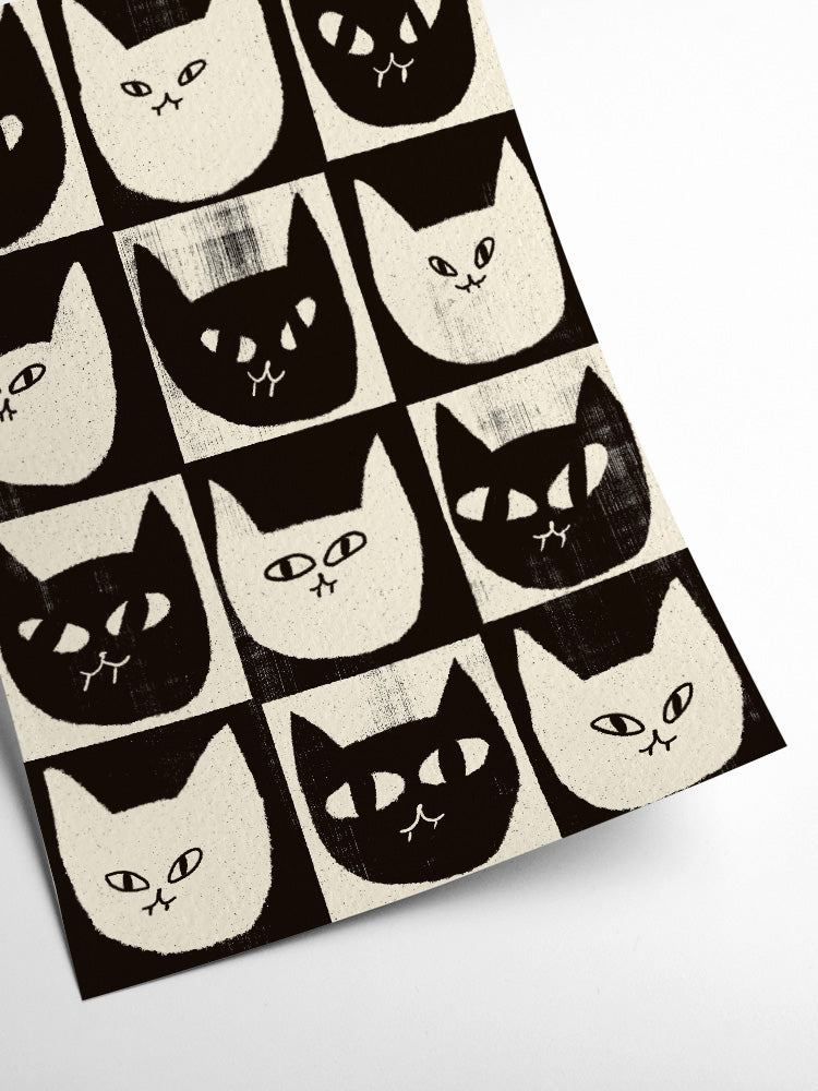 Black & White Cats by Enikő Eged