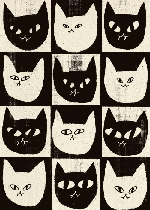 Black & White Cats by Enikő Eged