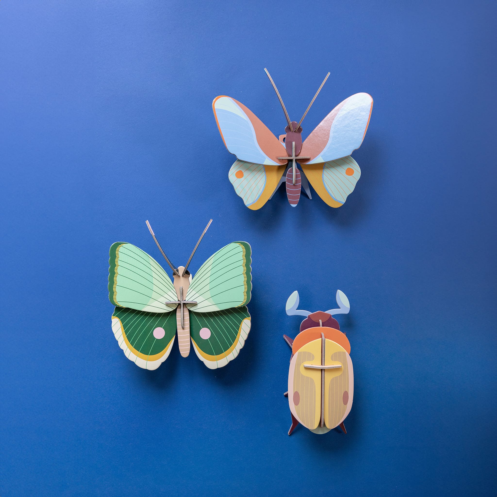 Fern Striped Butterfly
