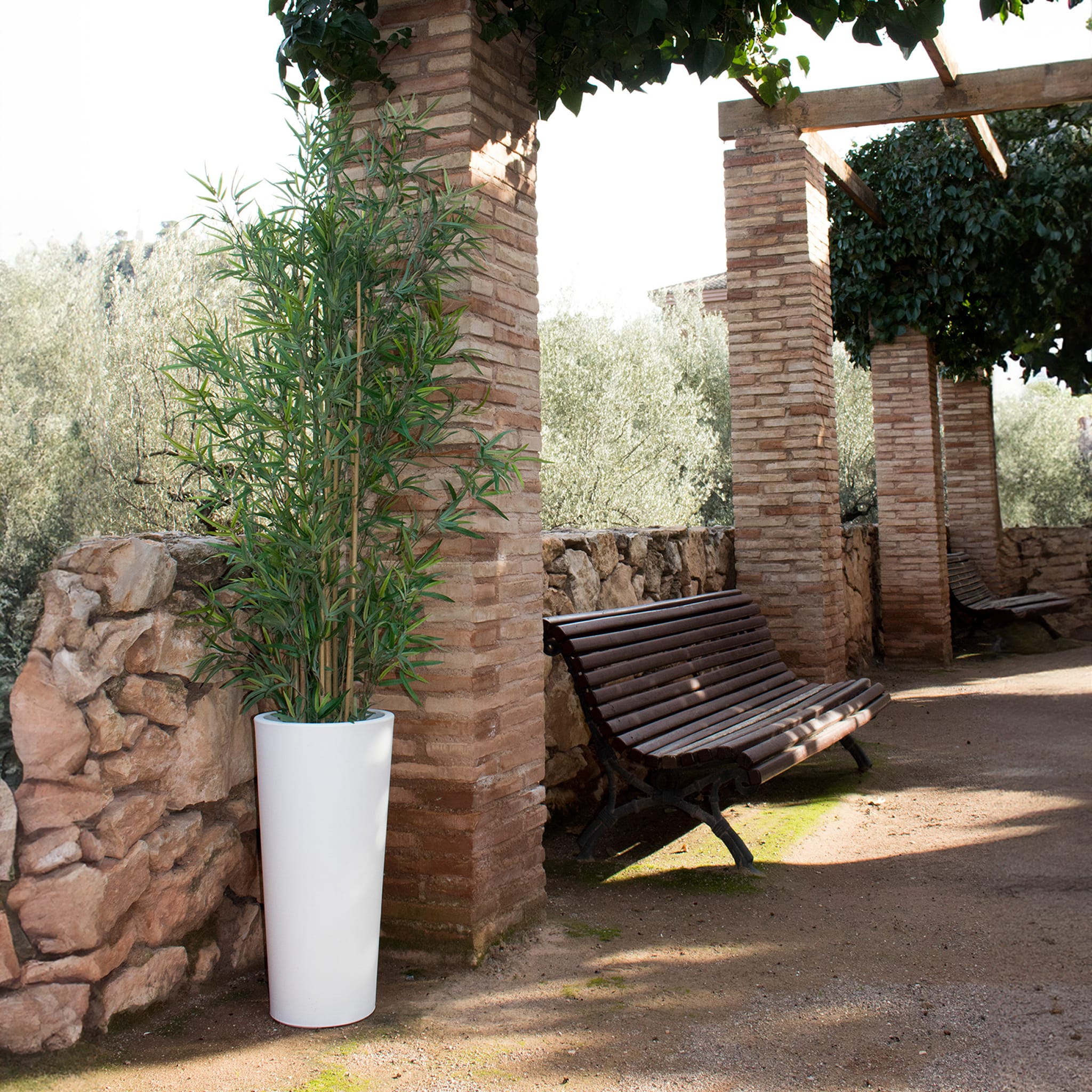 Ficus<br> Solar & Rechargeable