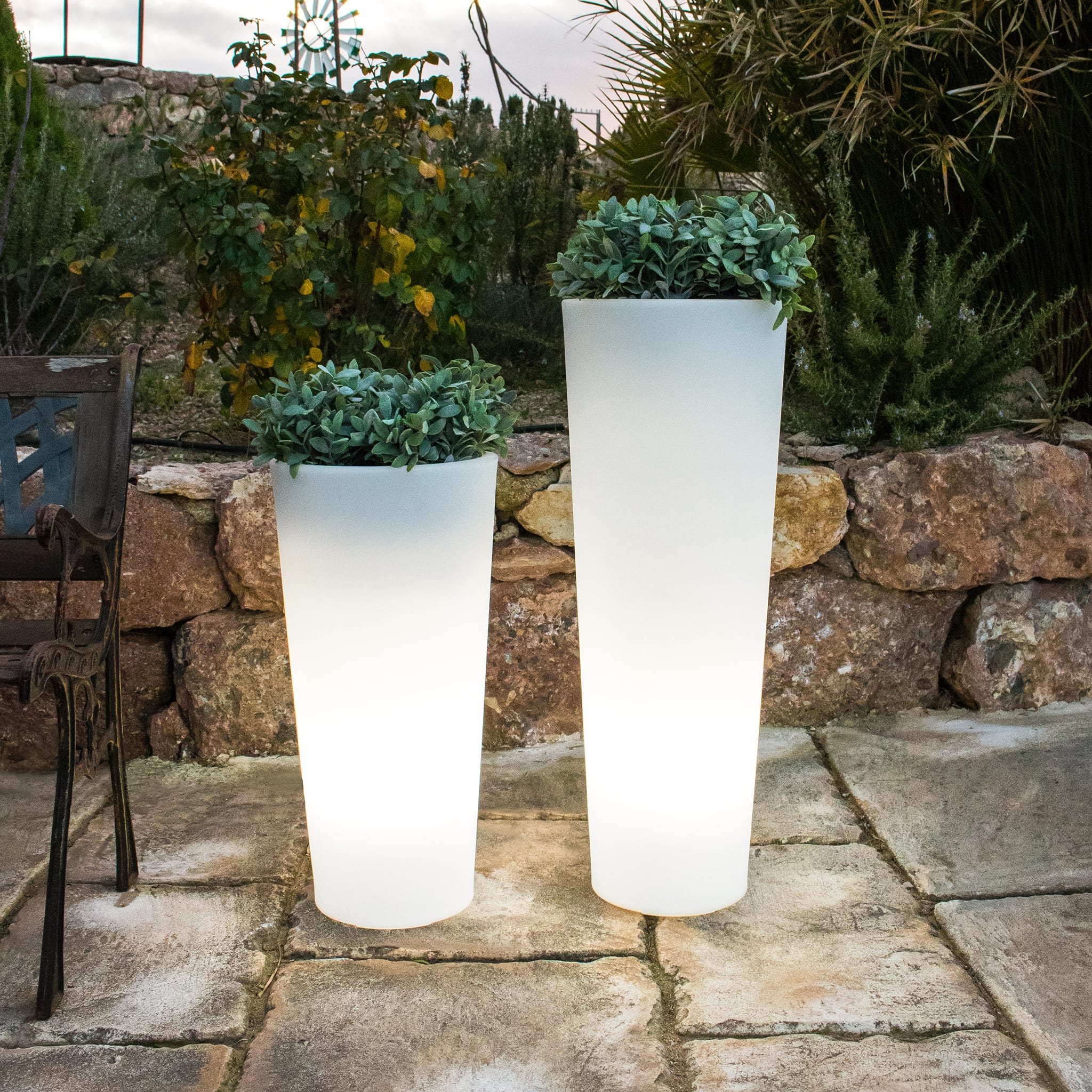 Ficus<br> Solar & Rechargeable