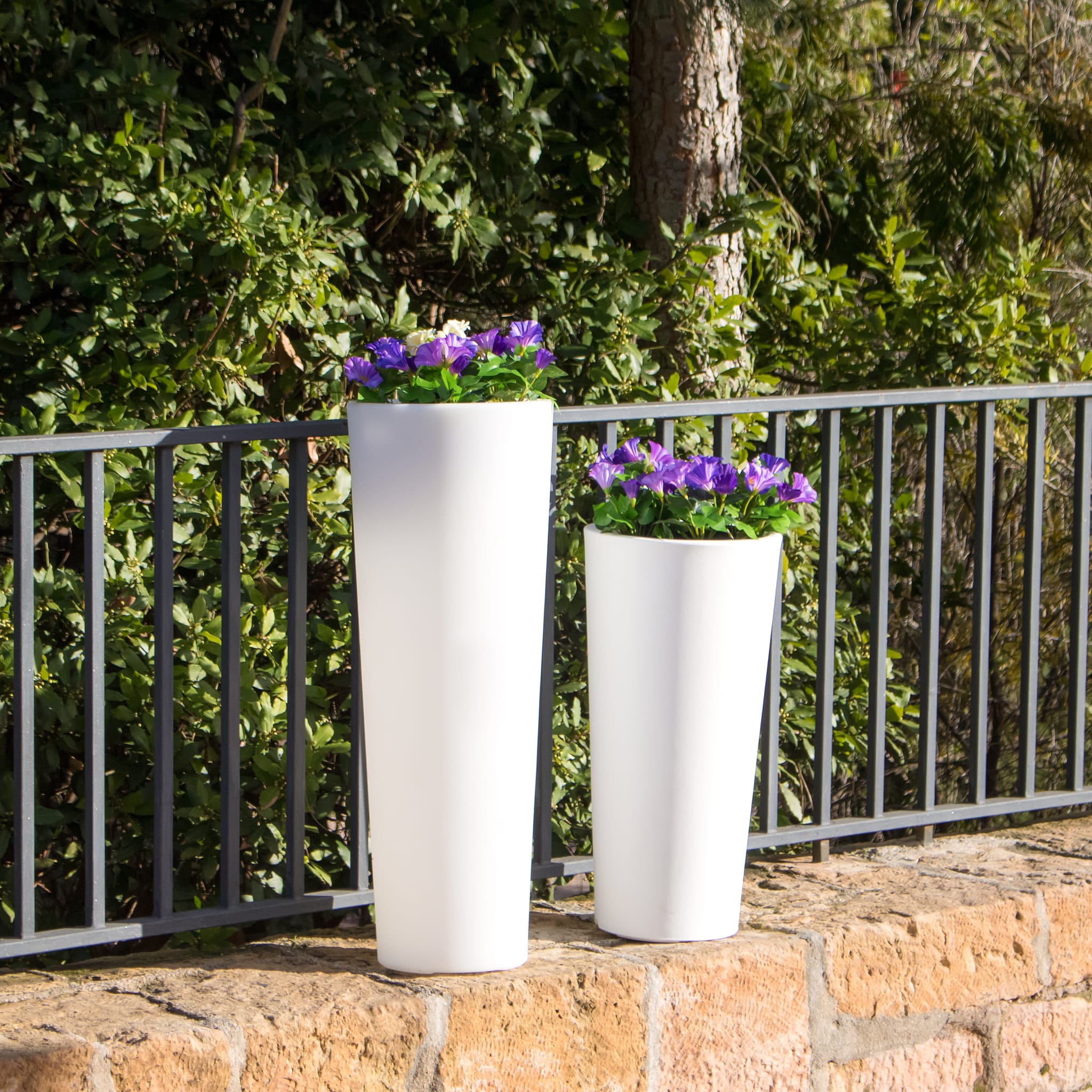 Ficus<br> Solar & Rechargeable