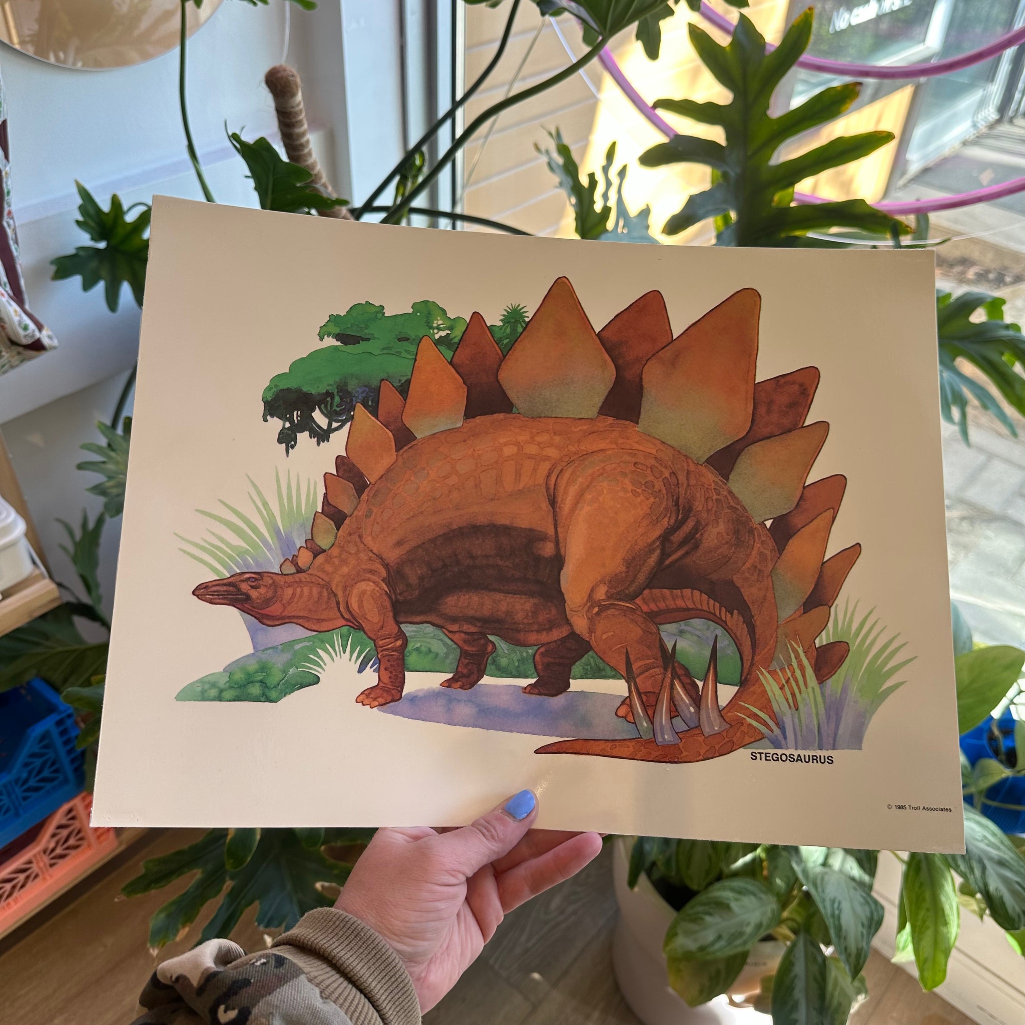 Stegosaurus Print