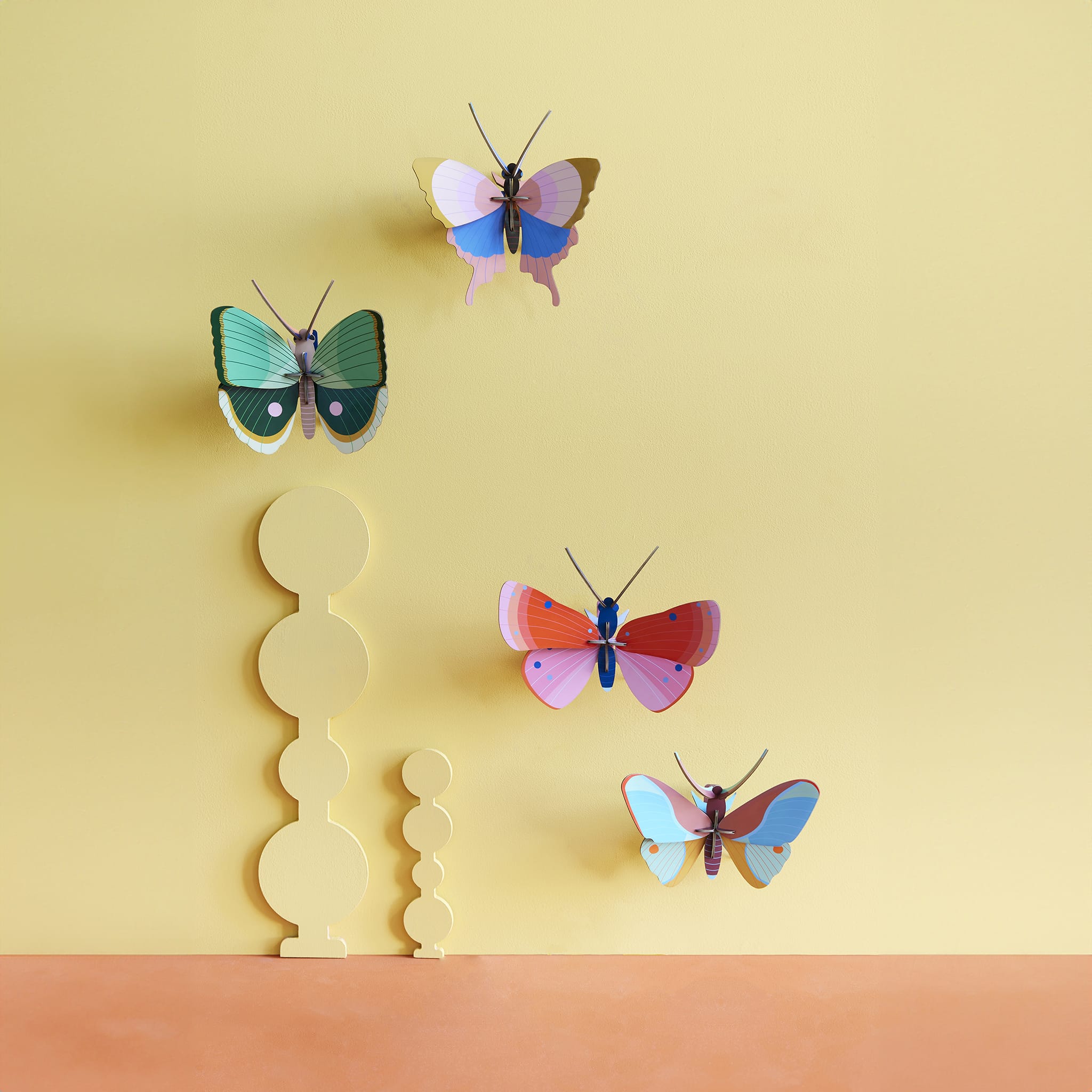 Gold Rim Butterfly