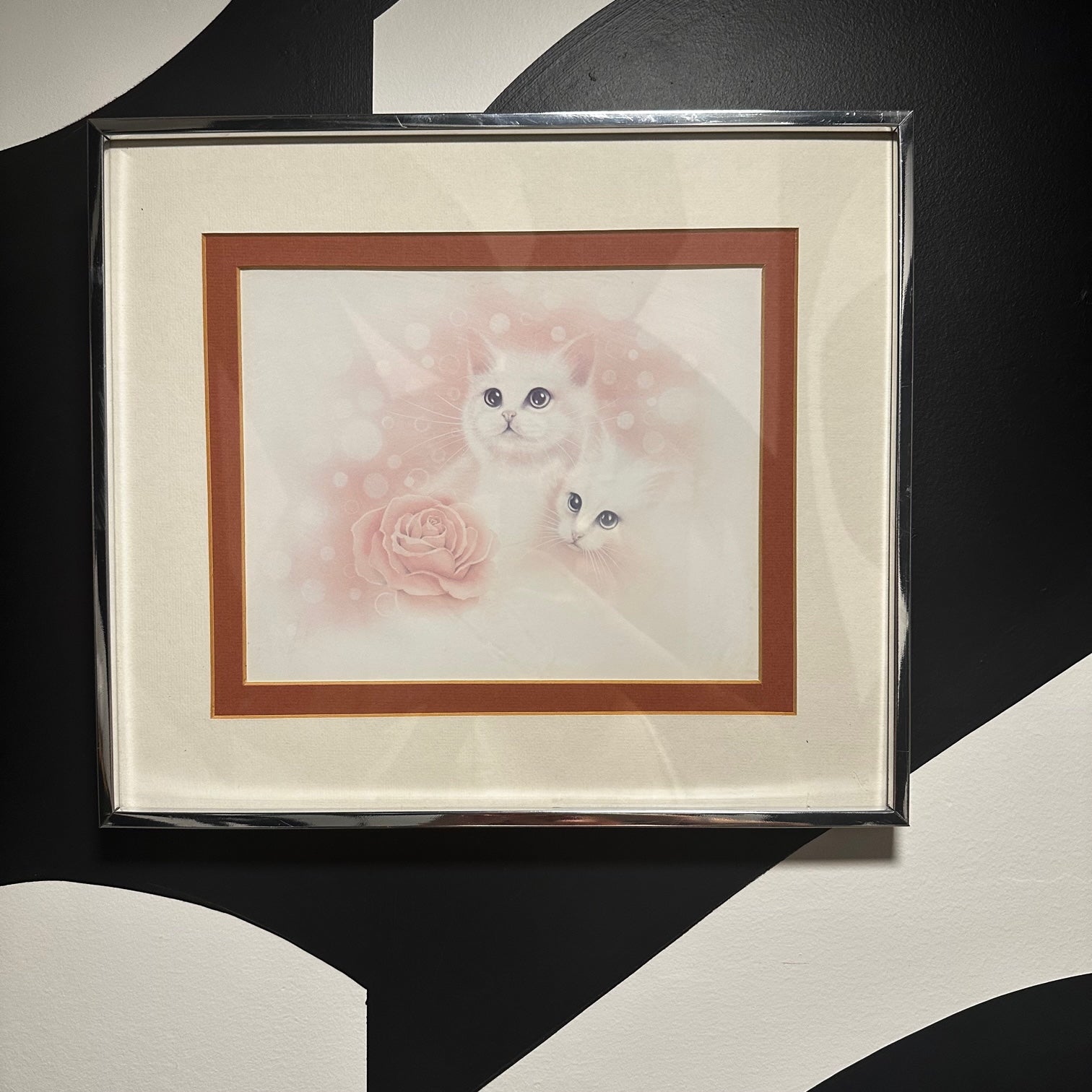 Framed Cat Picture