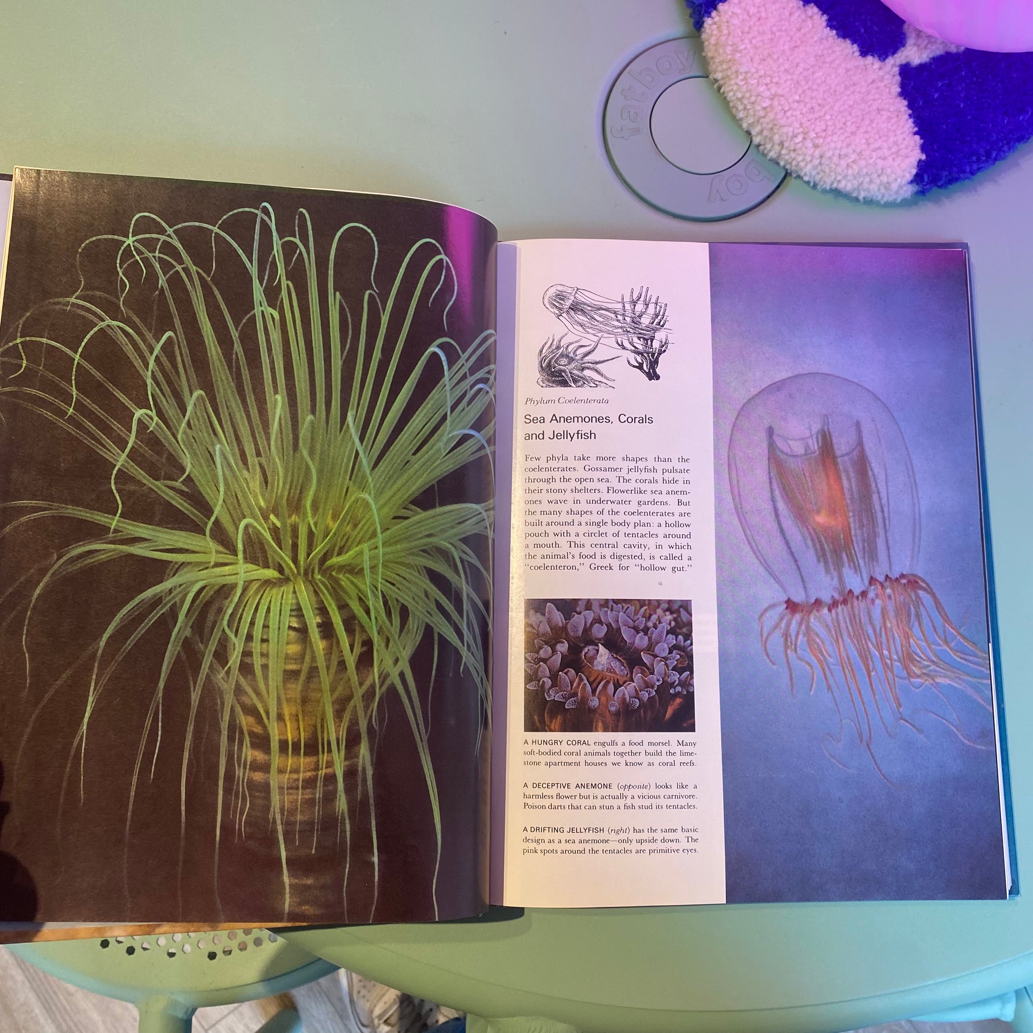 The Sea - Coffee Table Book