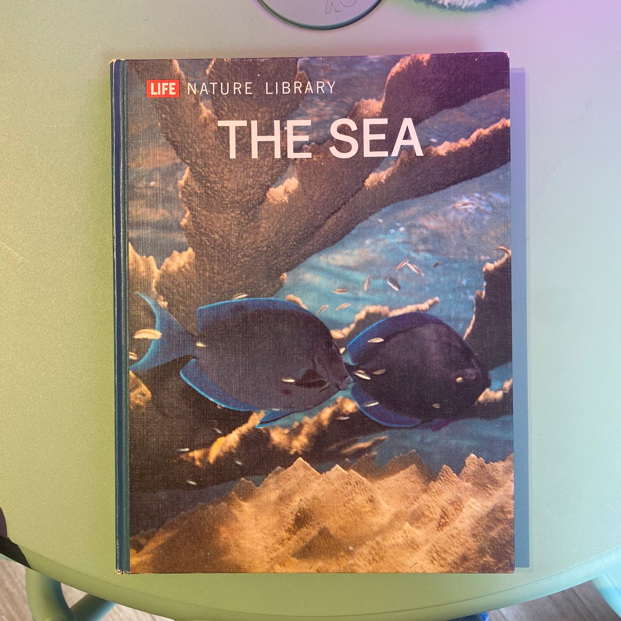 The Sea - Coffee Table Book