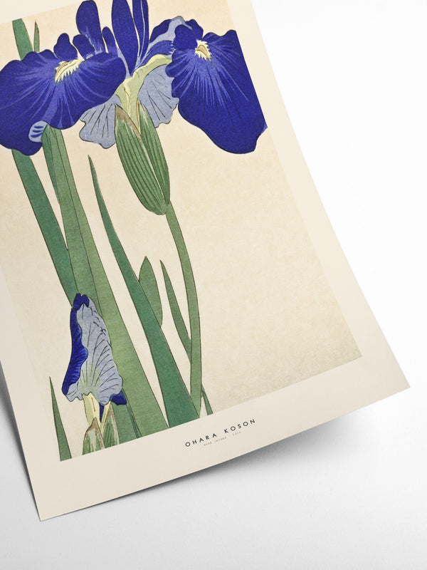 Blue Irises | Ohara Koson
