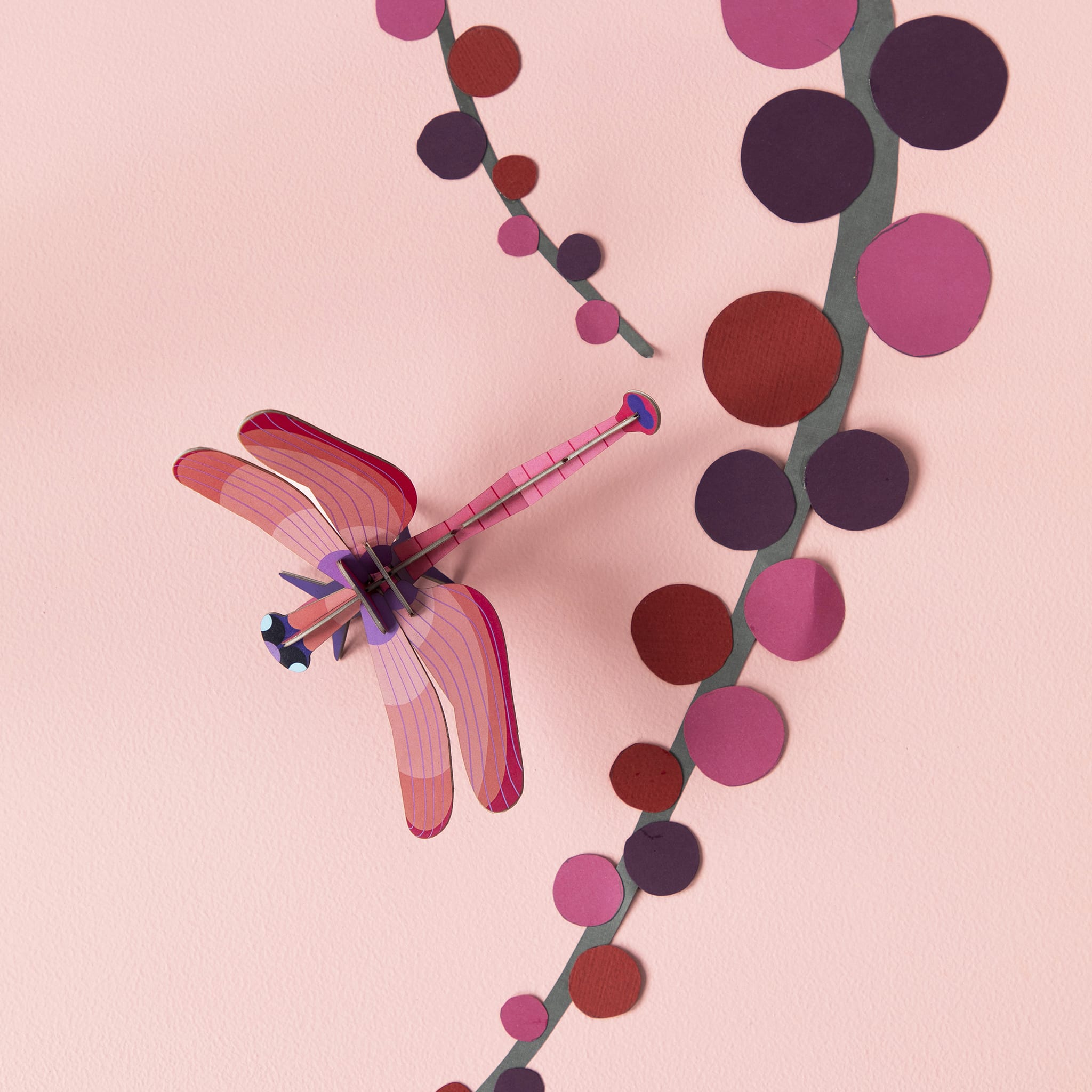 Ruby Dragonfly