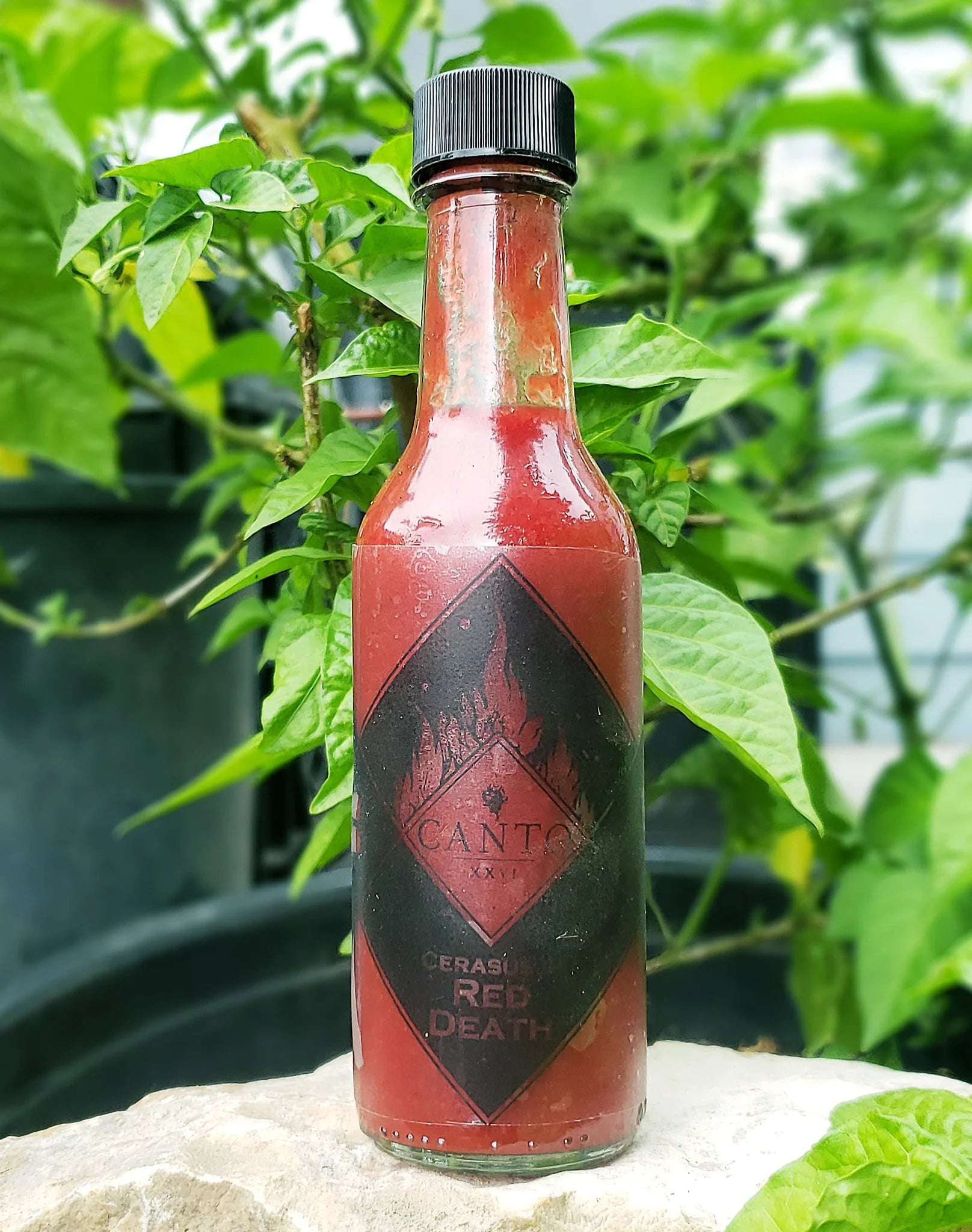 Cerasus in Red Death Hot Sauce