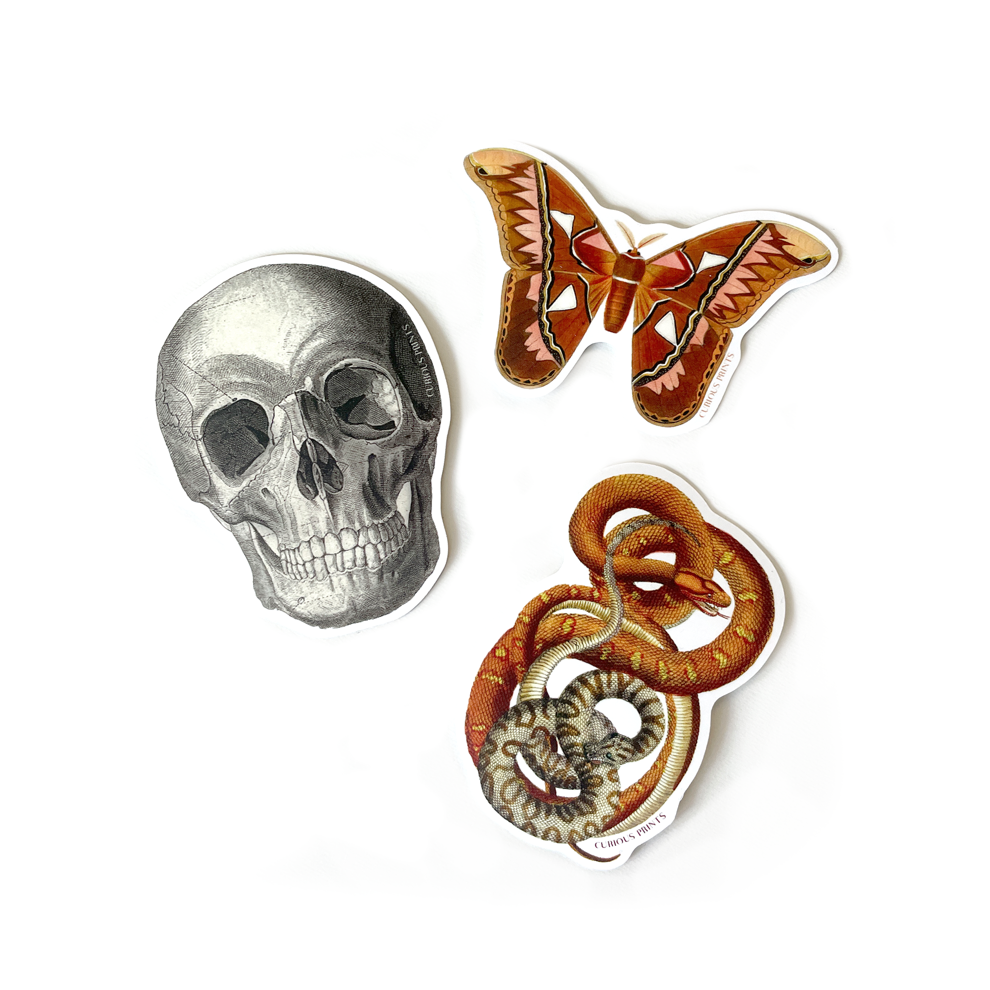 Vintage Snakes 1 Waterproof Sticker
