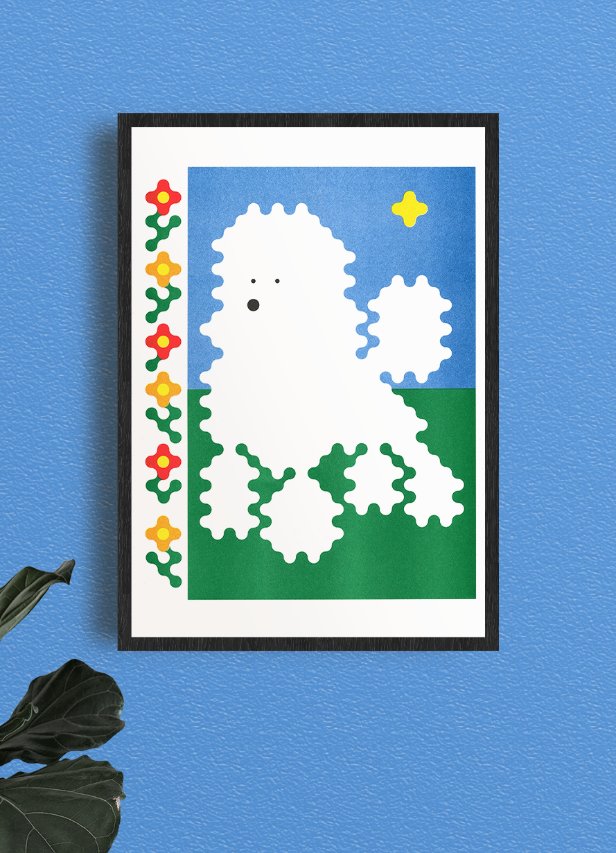 Poodle | Joe O'Donnell