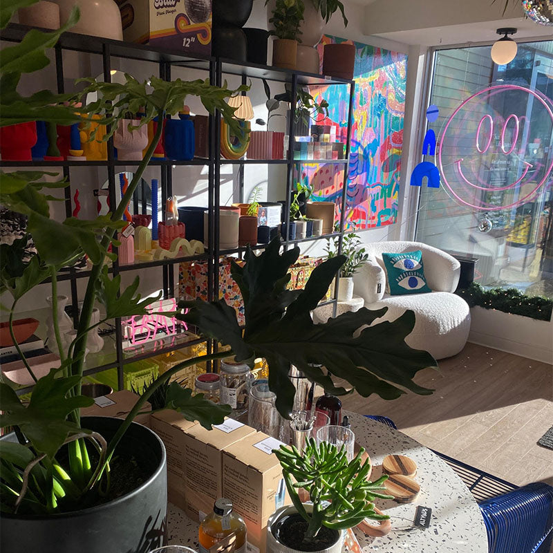 Interior of Alt Haus with natural light filling the space.
