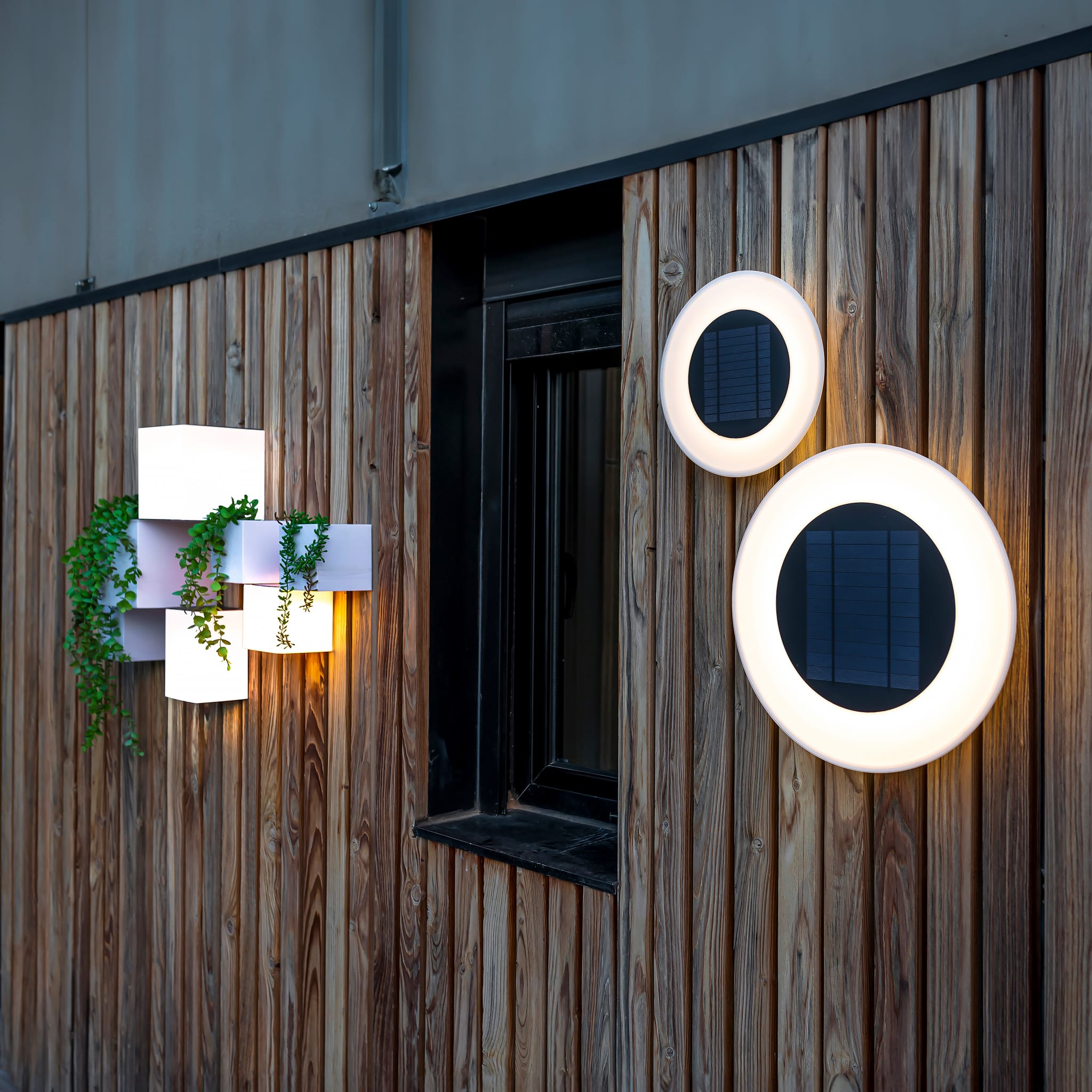 Wally – Alt Haus Interior Design