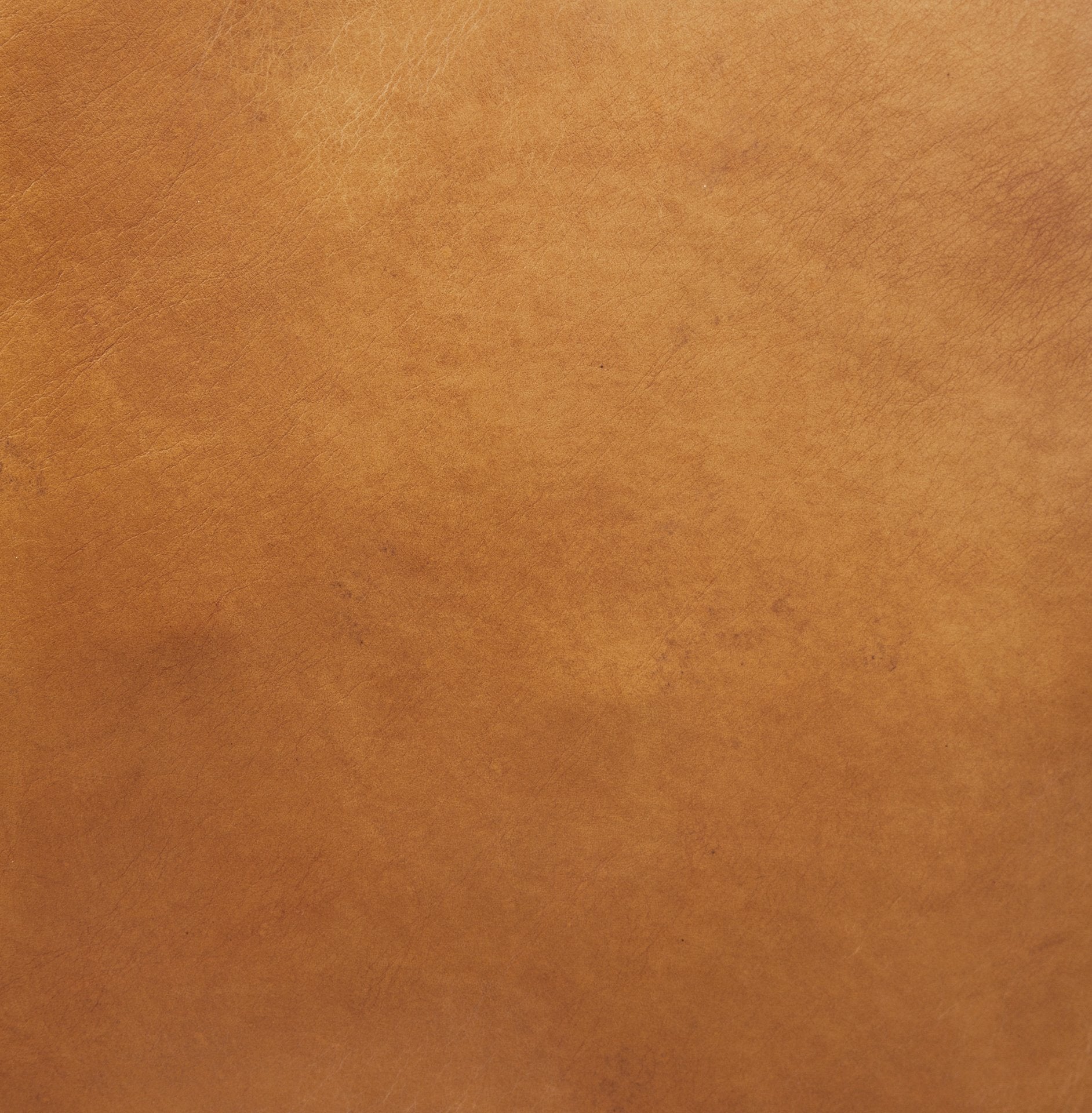 Ricciardo Sofa - Cognac