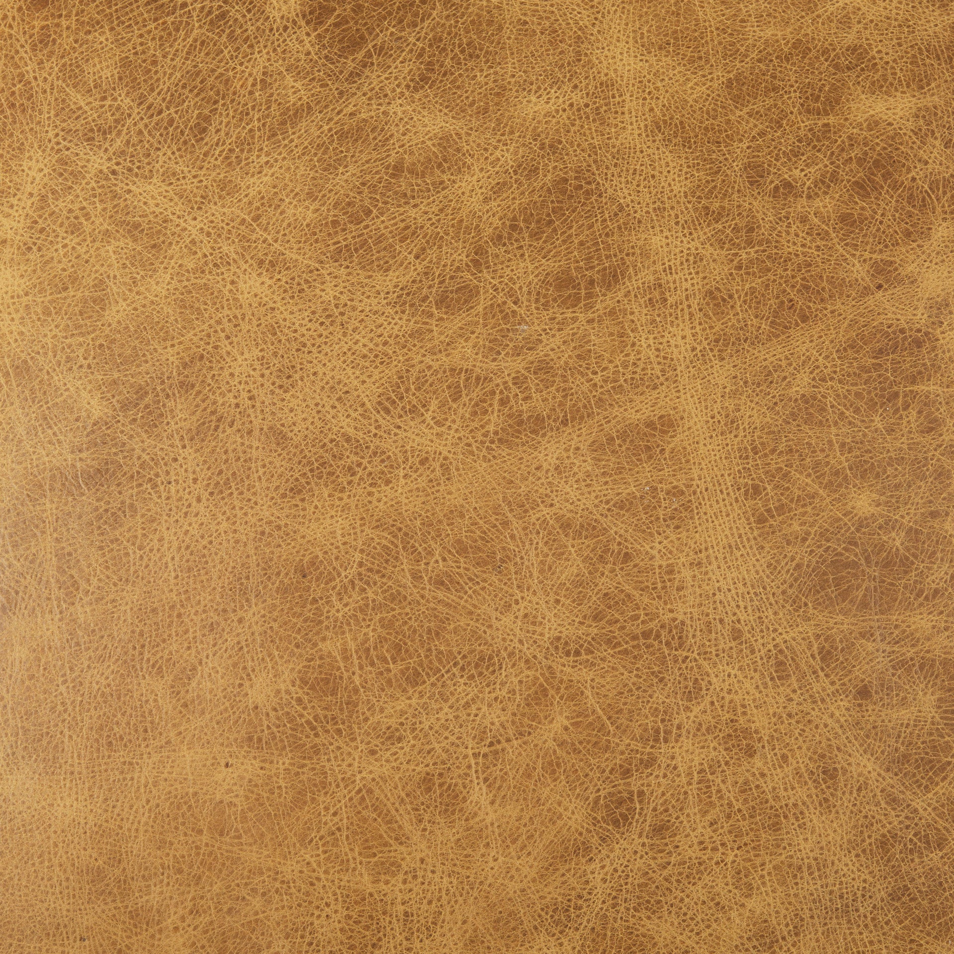 Armelle Accent Chair - Brown Leather