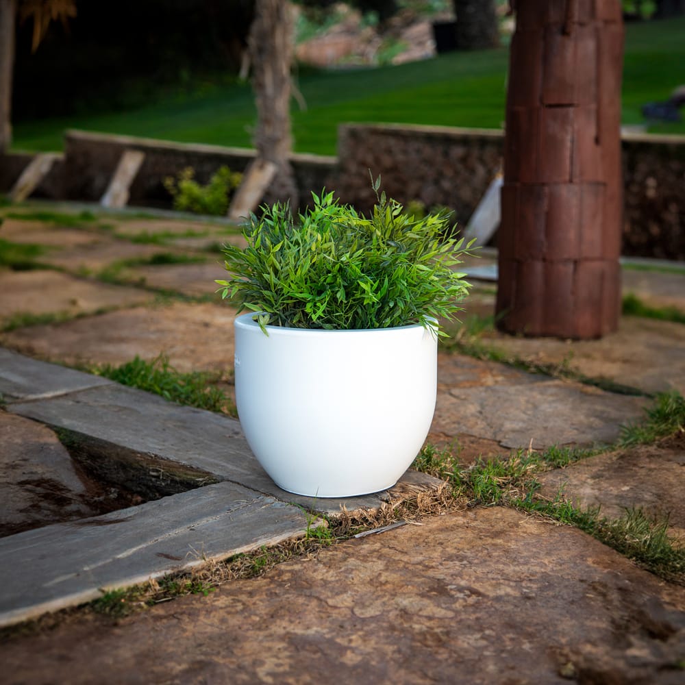 Bring Mediterranean luxury to your space with Newgarden's Camelia pots. Exceptional durability meets exquisite design in a range of sizes.