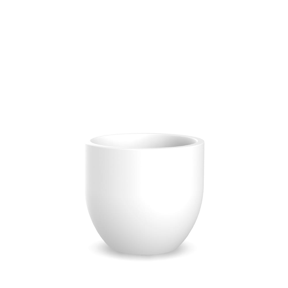 Newgarden presents Azalea 40 white in Pots and Planters