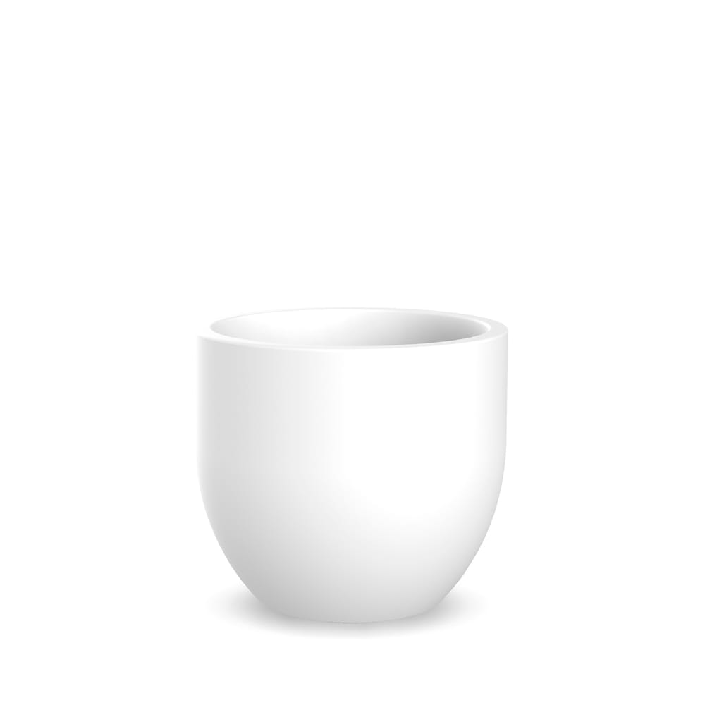 Newgarden presents Azalea 50 white in Pots and Planters