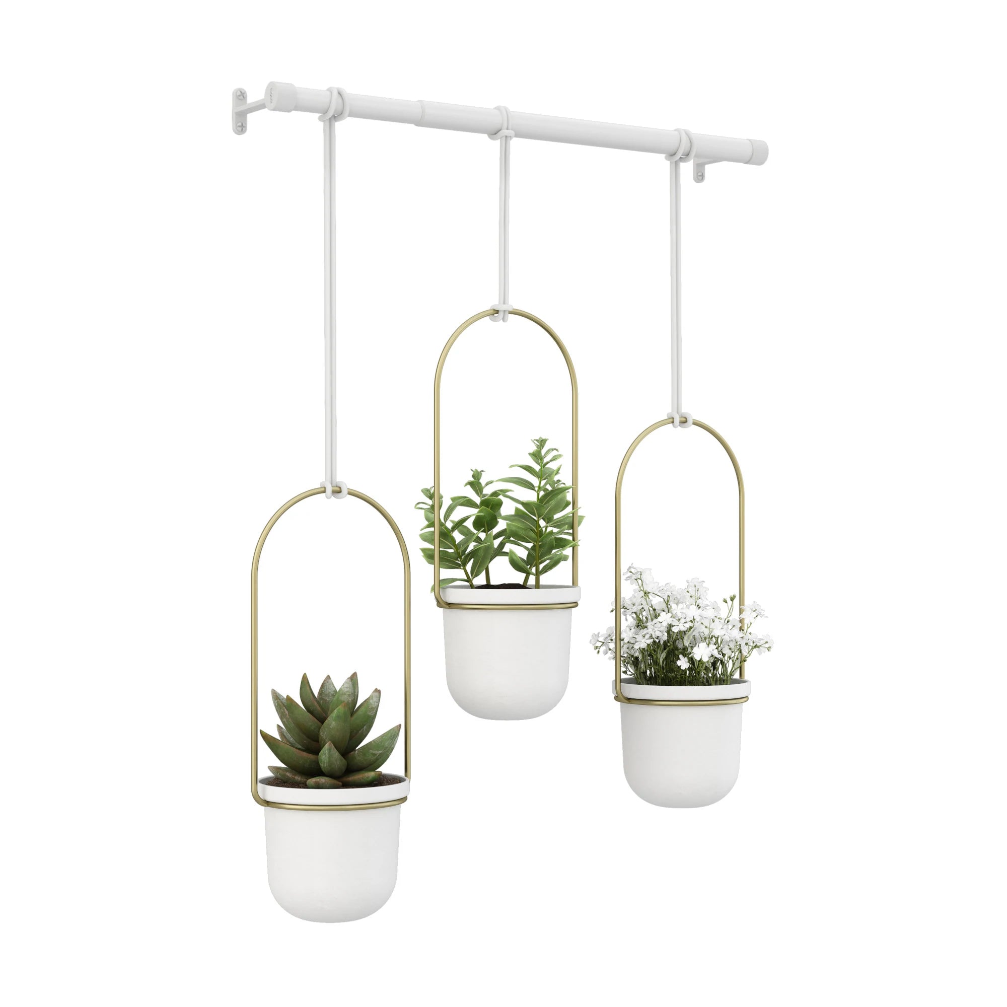 Triflora Hanging Planter