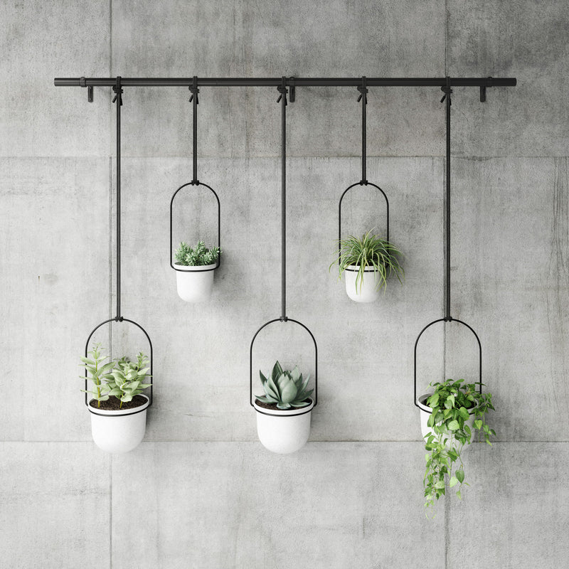 Triflora Hanging Planter Large