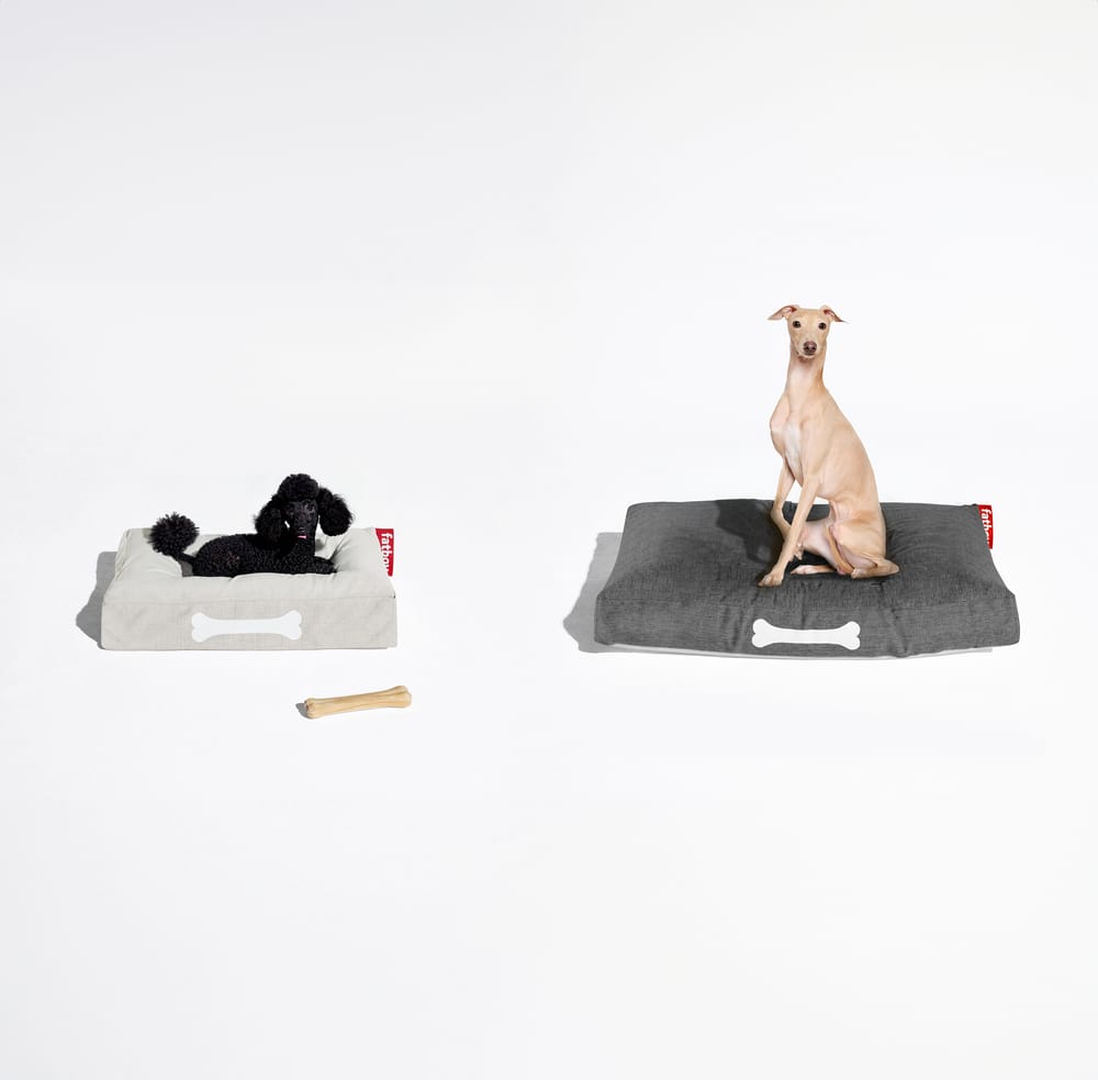 Elevate your home's style and your dog's comfort with Doggielounge by Fatboy. Its seamless design complements any interior.