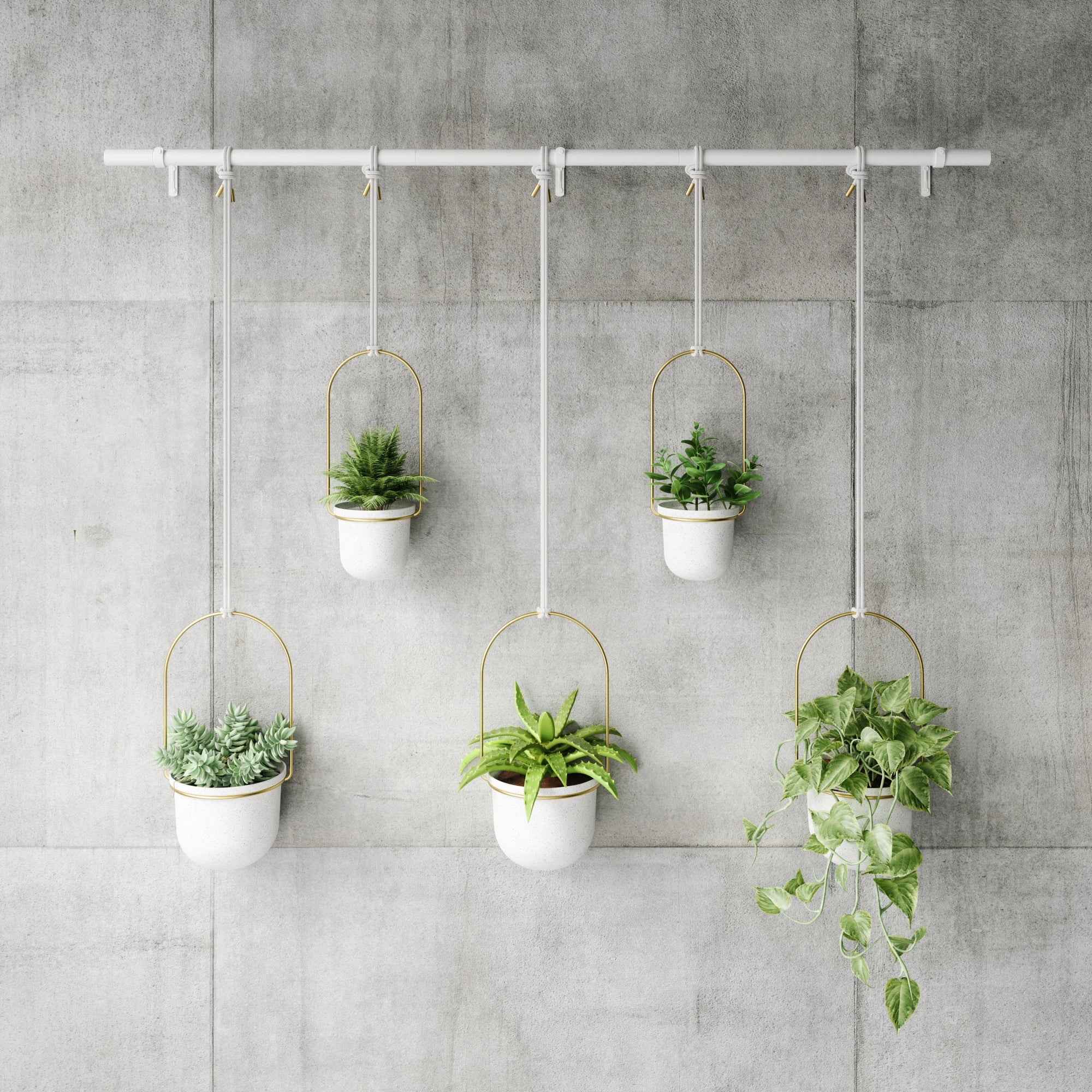 Triflora Hanging Planter Large