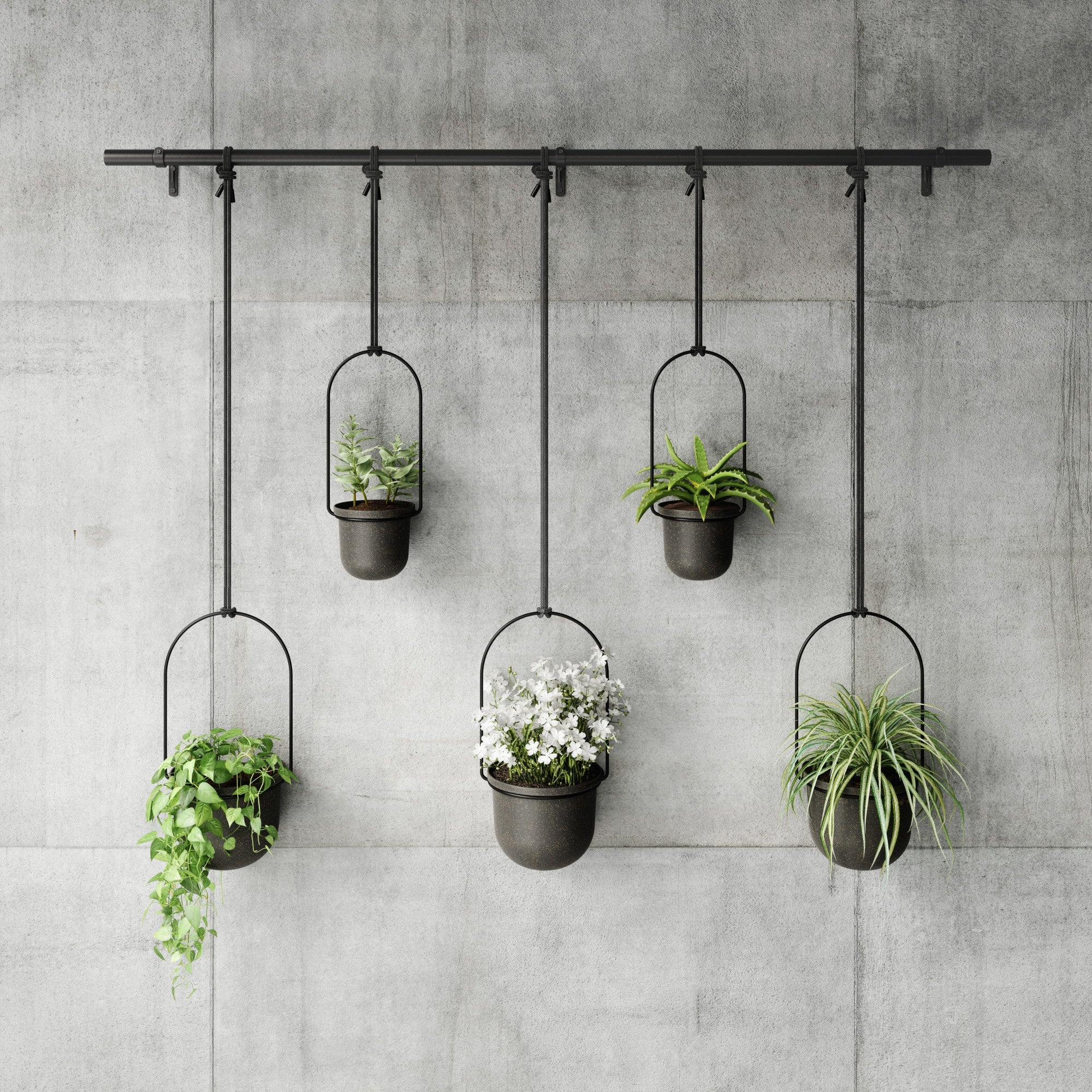 Triflora Hanging Planter Large