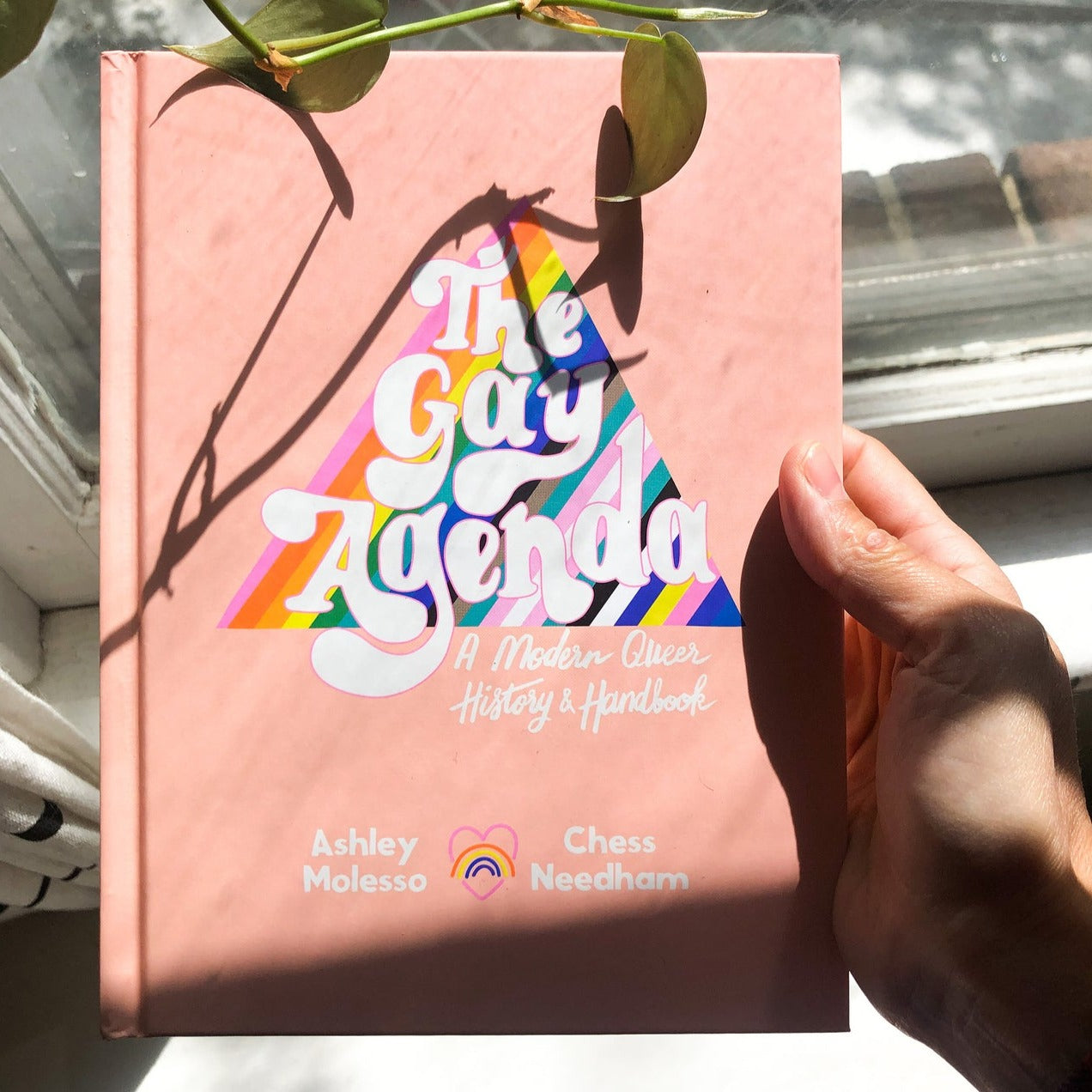 The Gay Agenda