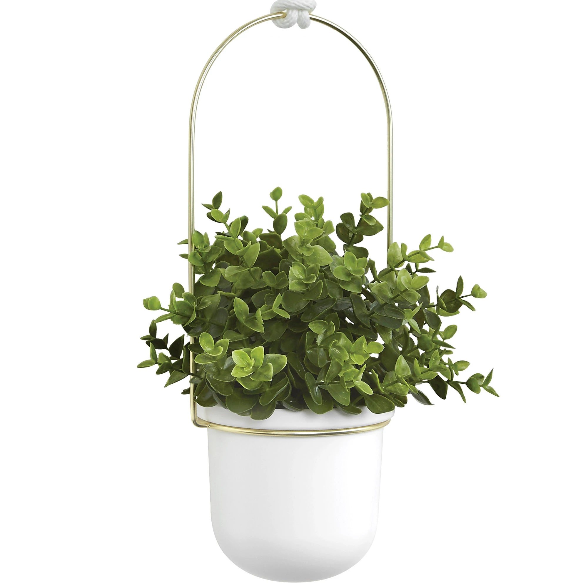 Triflora Hanging Planter