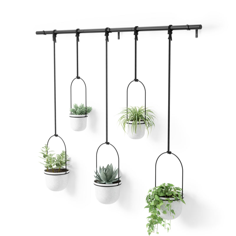 Triflora Hanging Planter Large