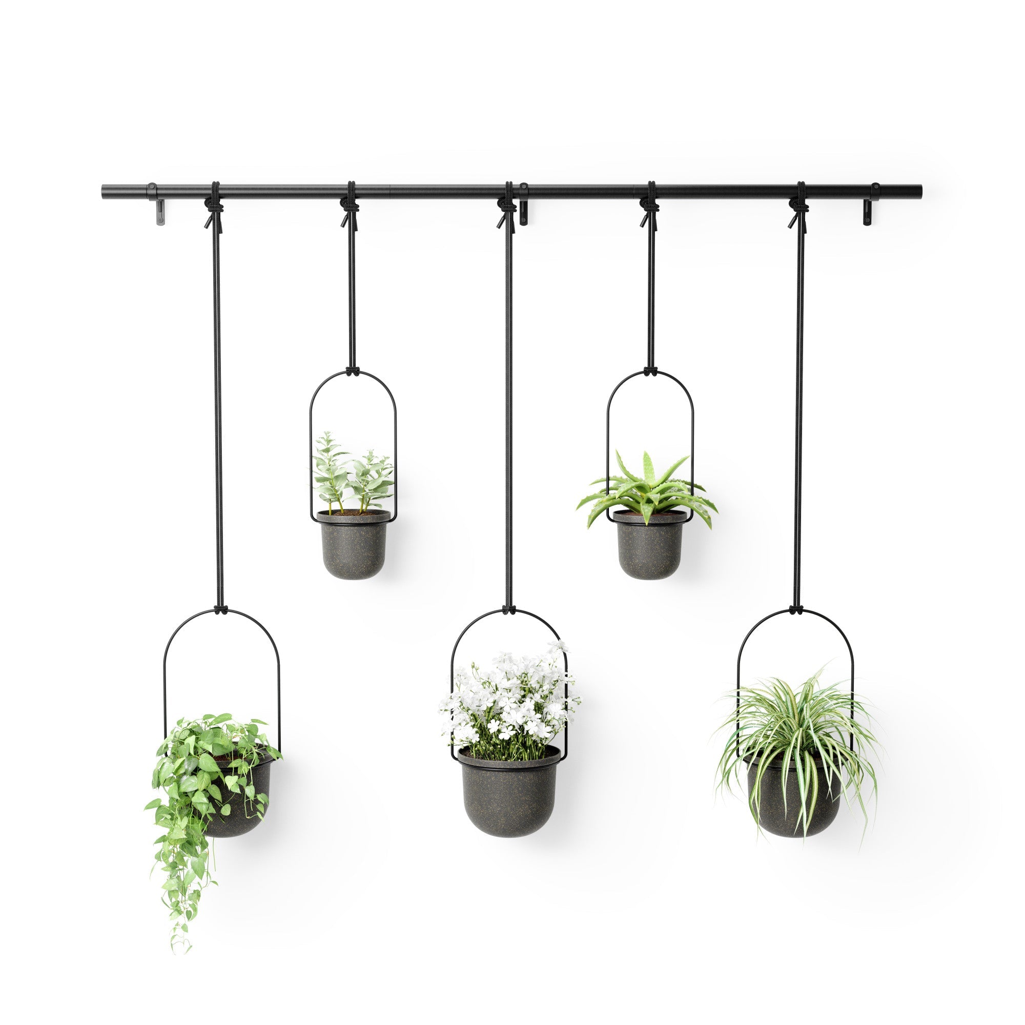 Triflora Hanging Planter Large