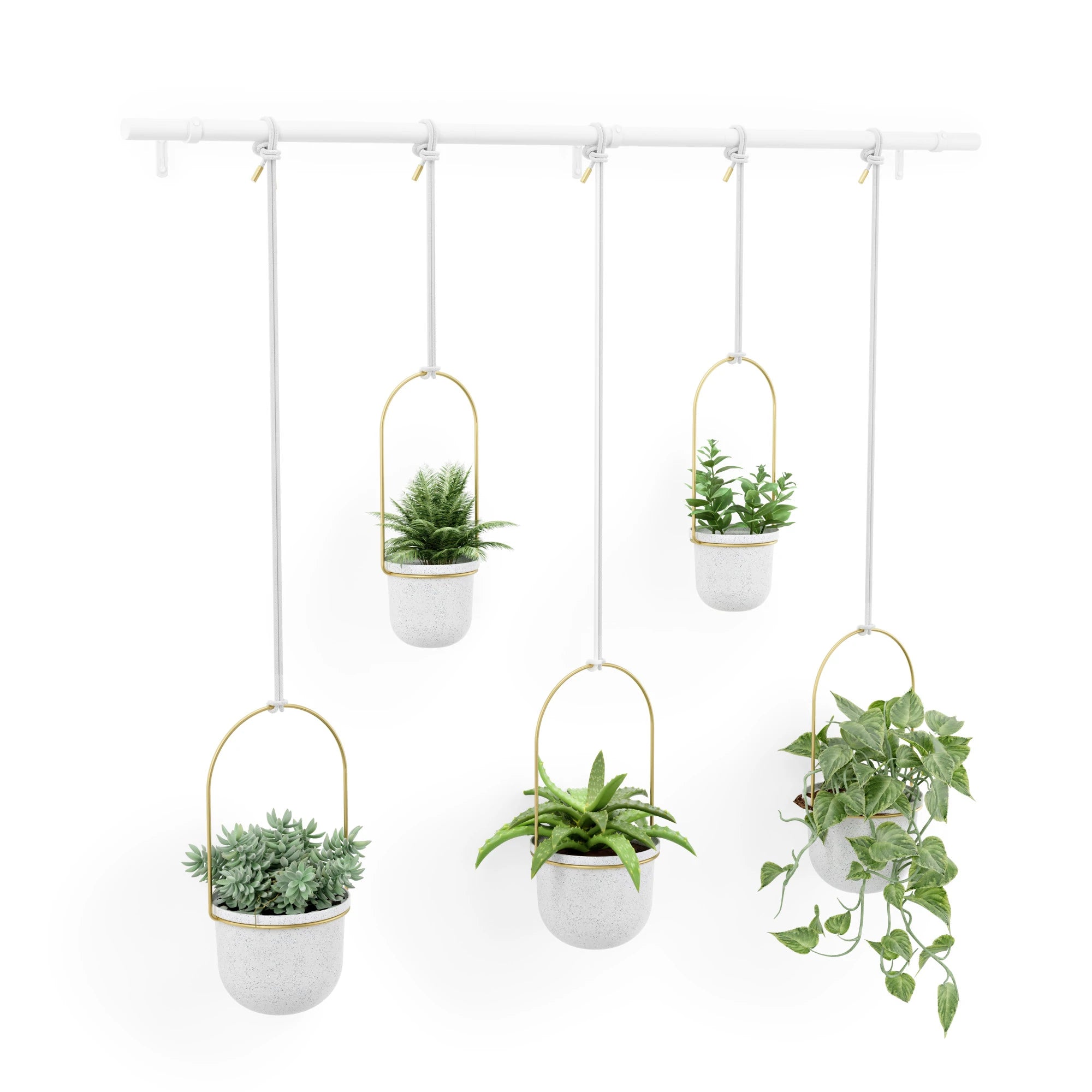 Triflora Hanging Planter Large